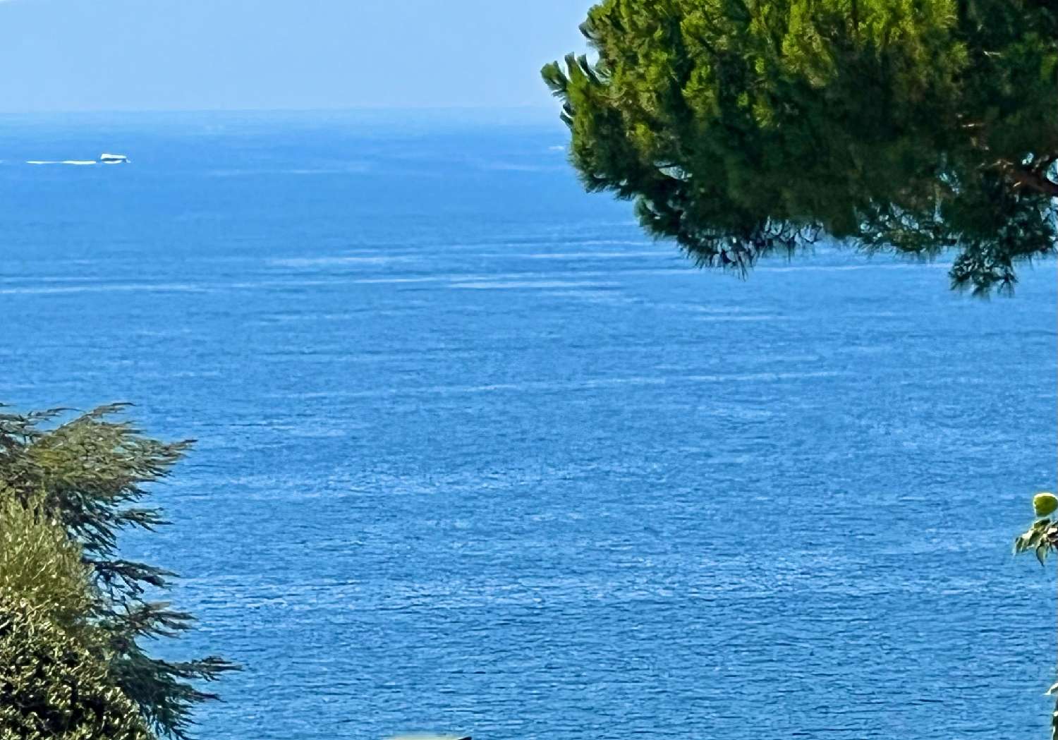 à vendre appartement Cannes Alpes-Maritimes 2