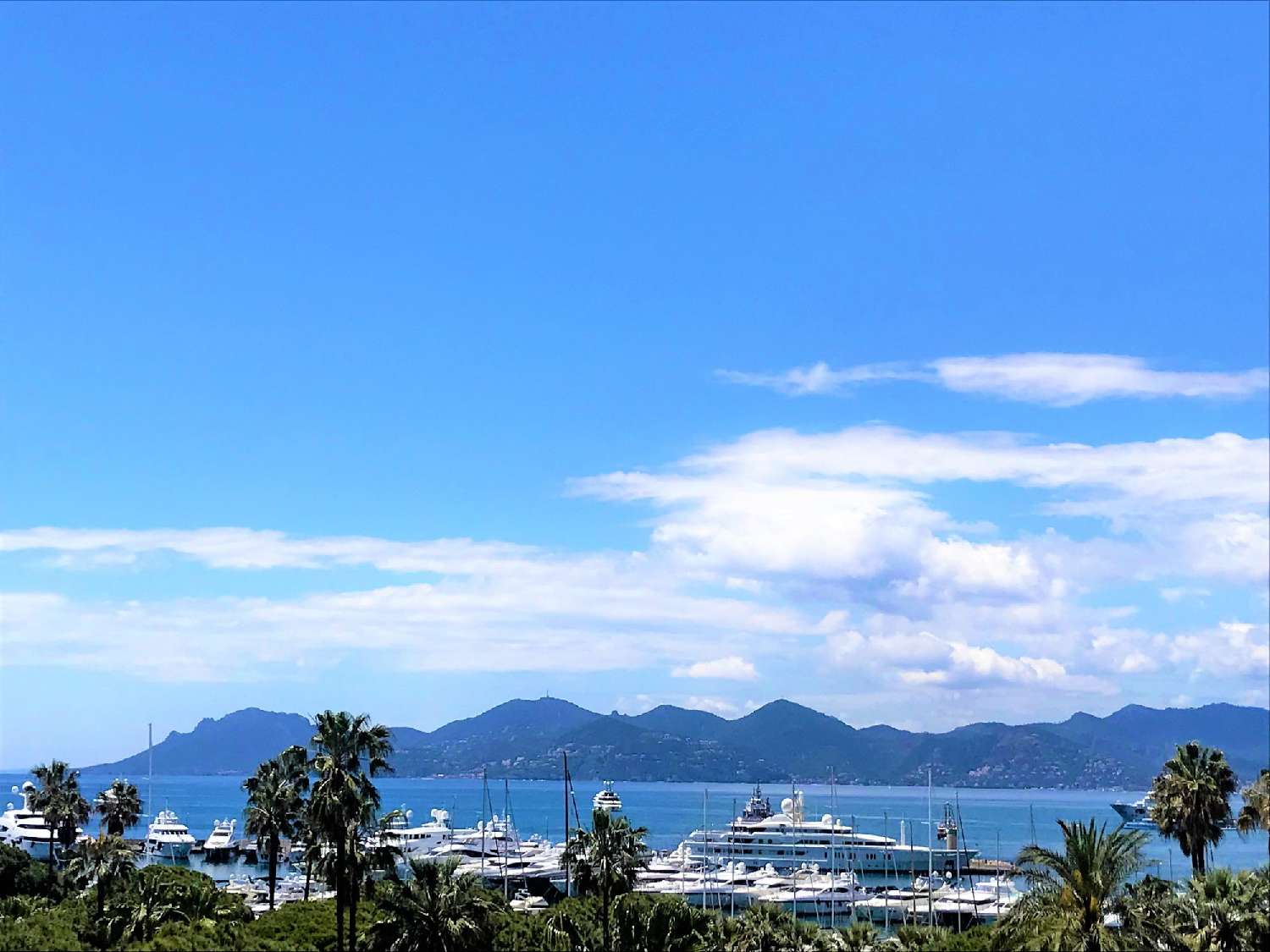  en venta apartamento Cannes Alpes-Maritimes 1