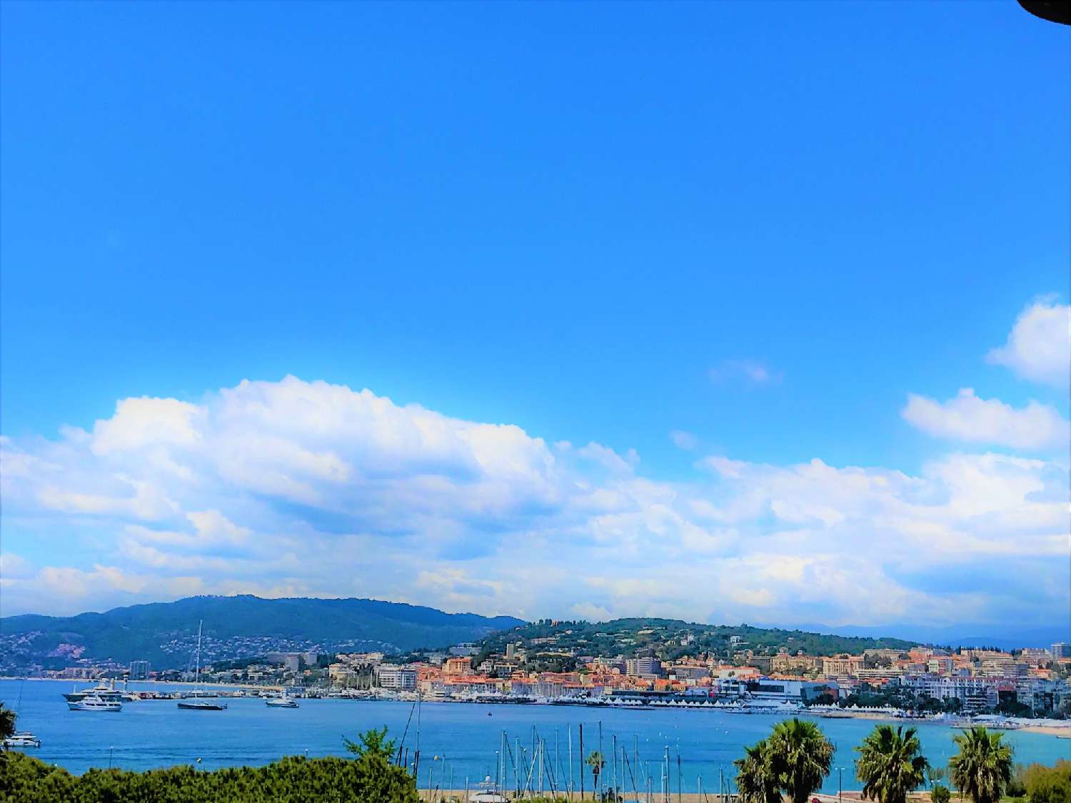  en venta apartamento Cannes Alpes-Maritimes 6
