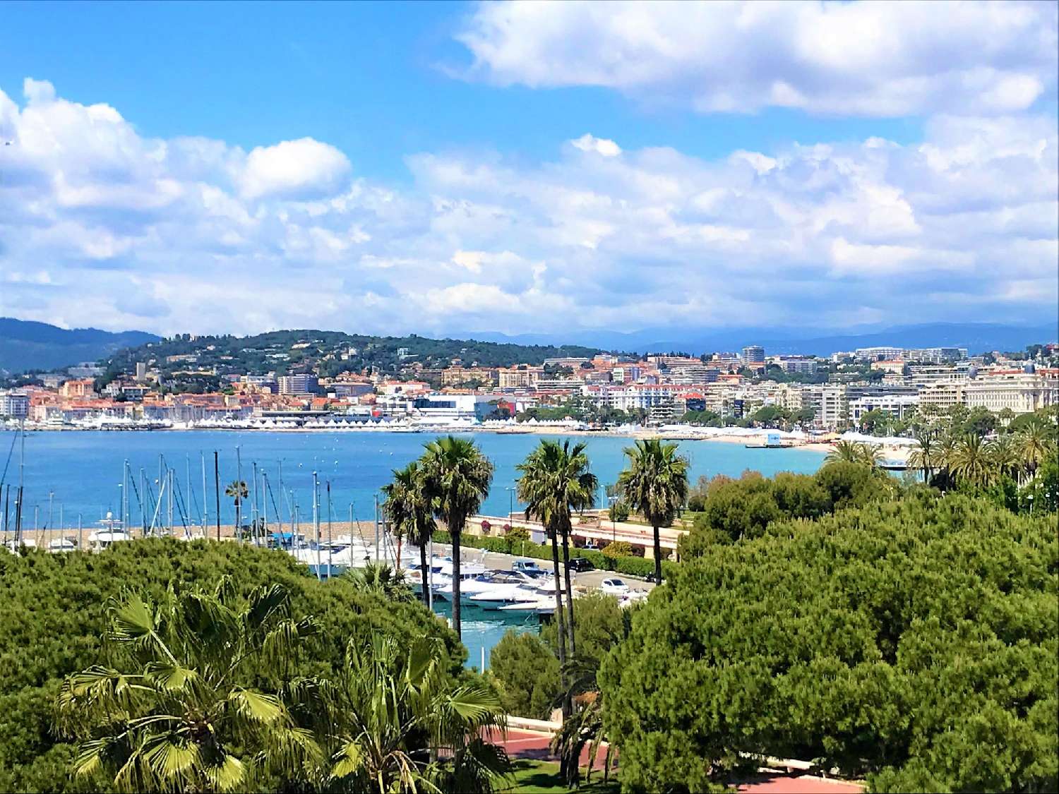  en venta apartamento Cannes Alpes-Maritimes 7