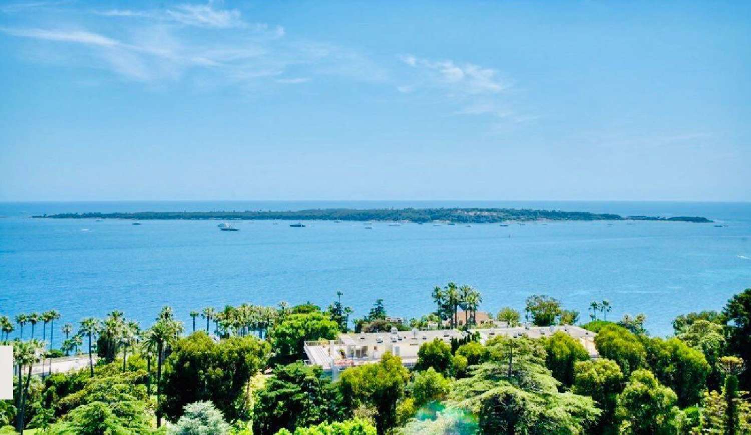  te koop appartement Cannes Alpes-Maritimes 1