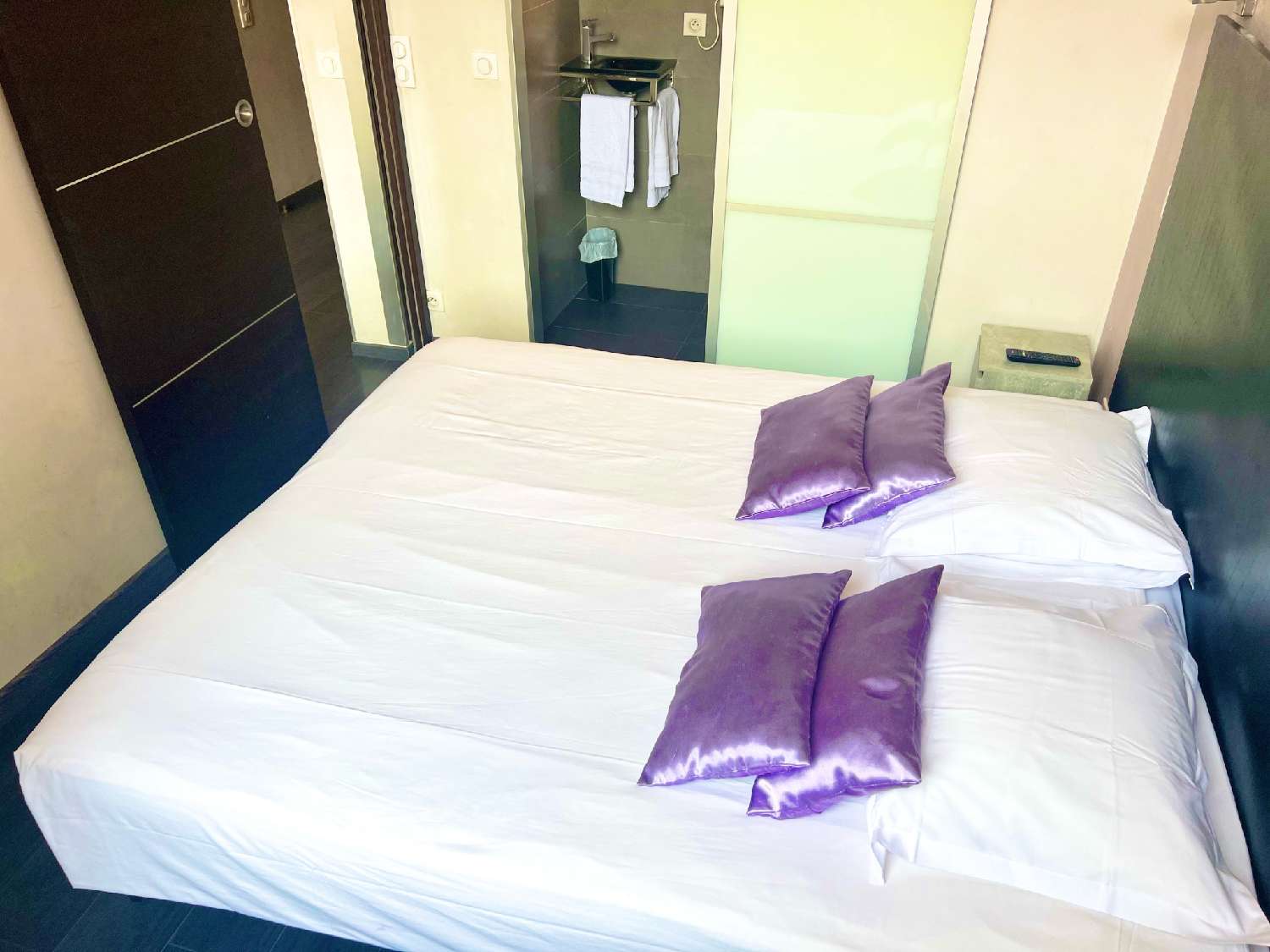  te koop appartement Cannes Alpes-Maritimes 5