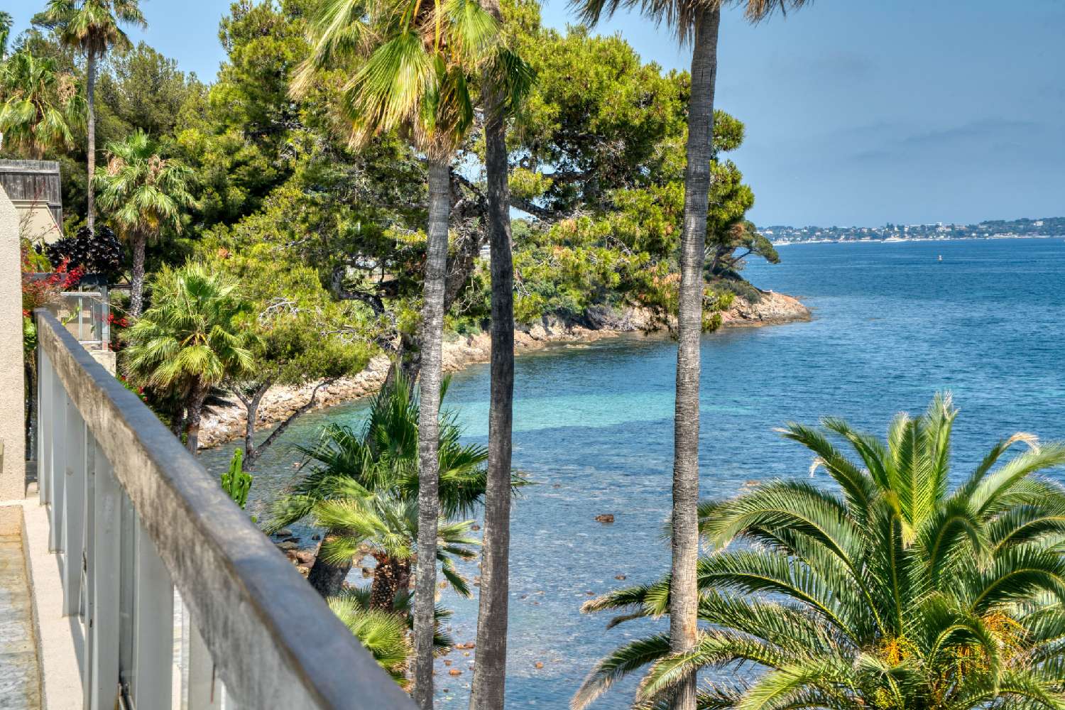  te koop appartement Cannes Alpes-Maritimes 1