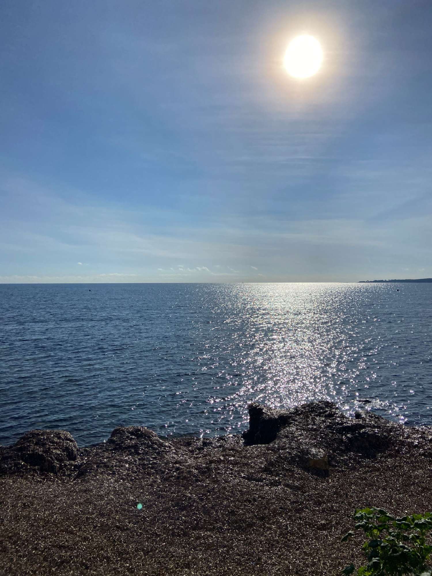  te koop appartement Cannes Alpes-Maritimes 8