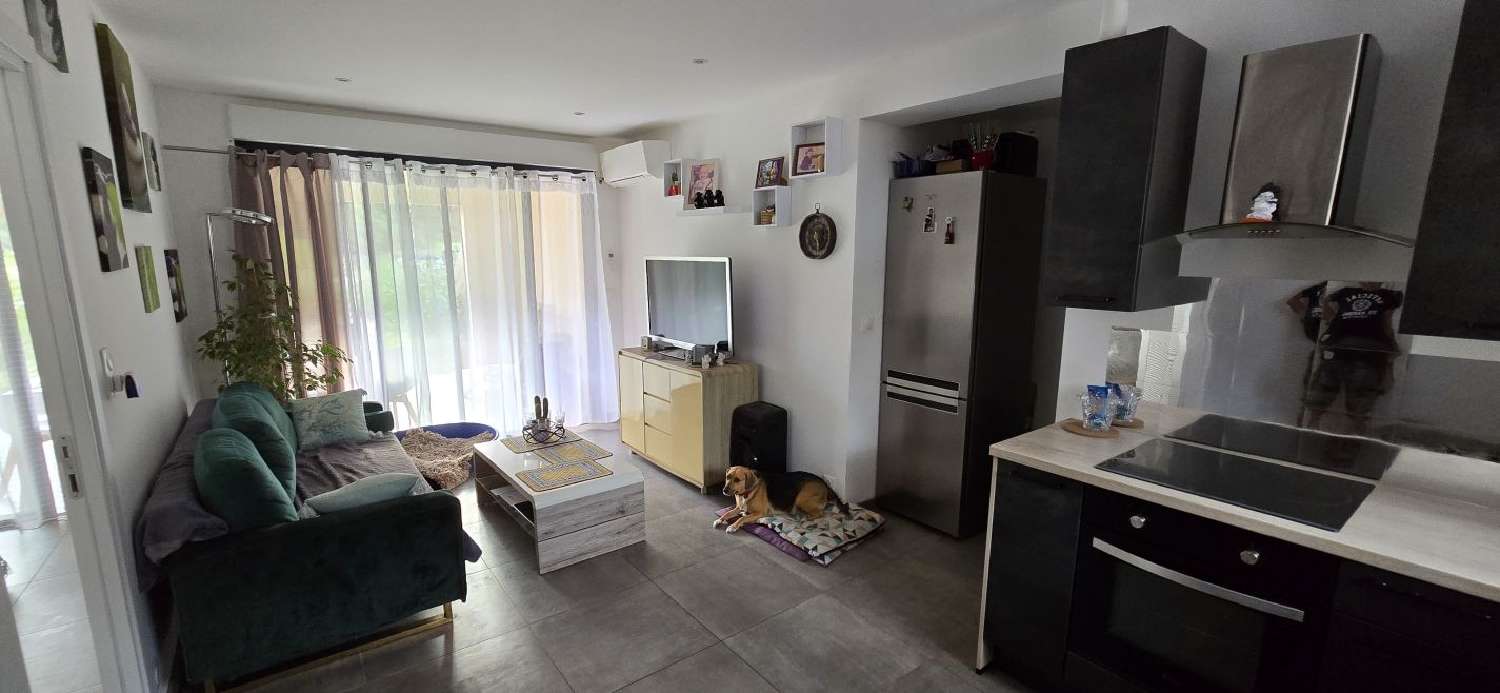  te koop appartement Cauro Corse-du-Sud 4