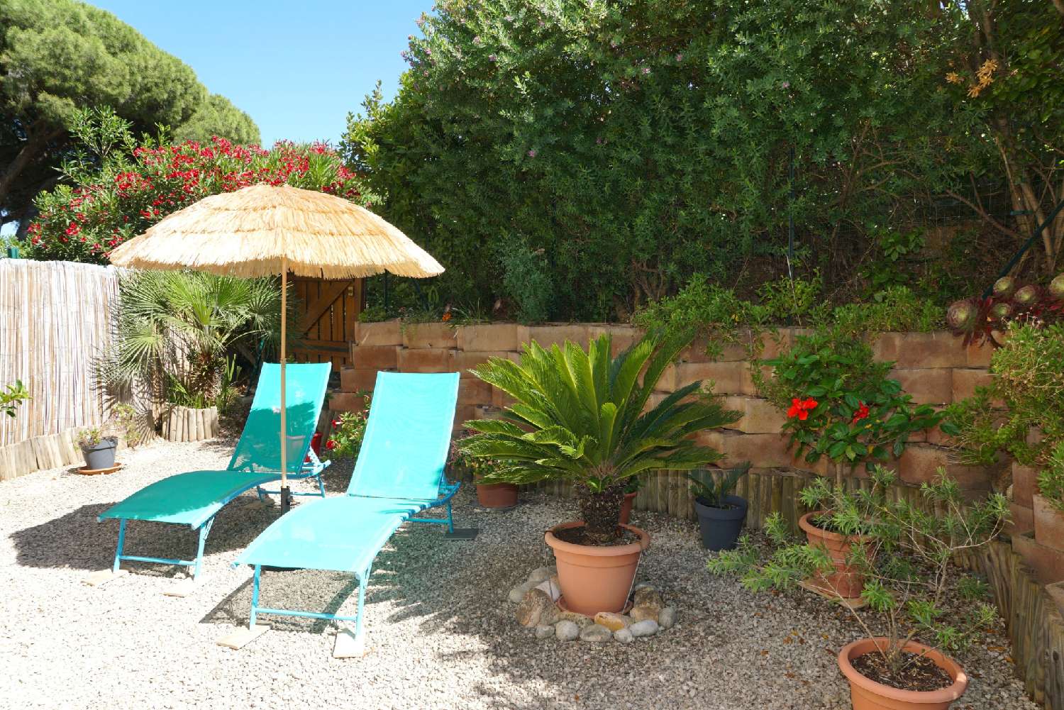  te koop appartement Cavalaire-sur-Mer Var 1