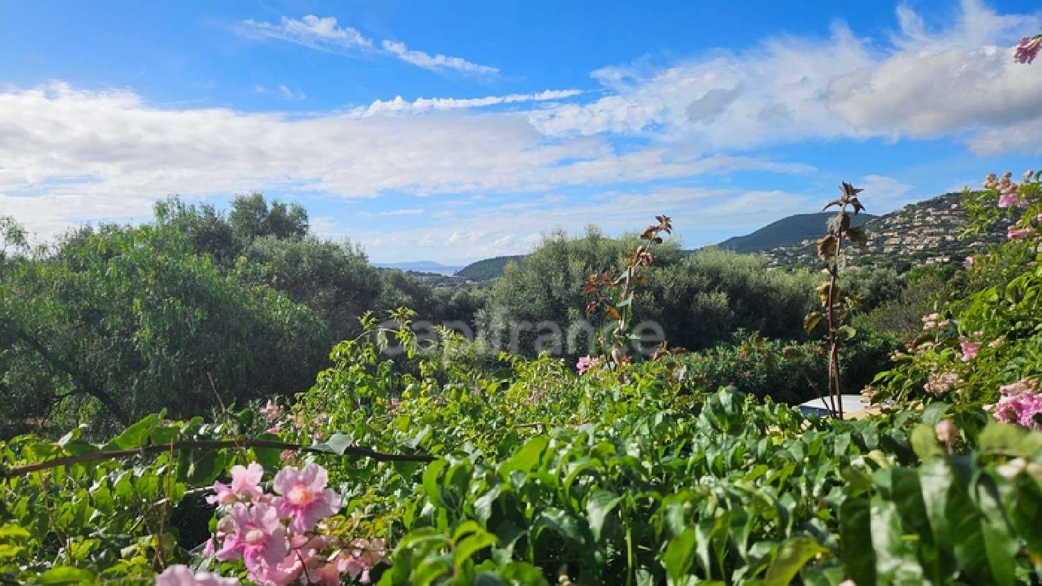  te koop appartement Cavalaire-sur-Mer Var 8