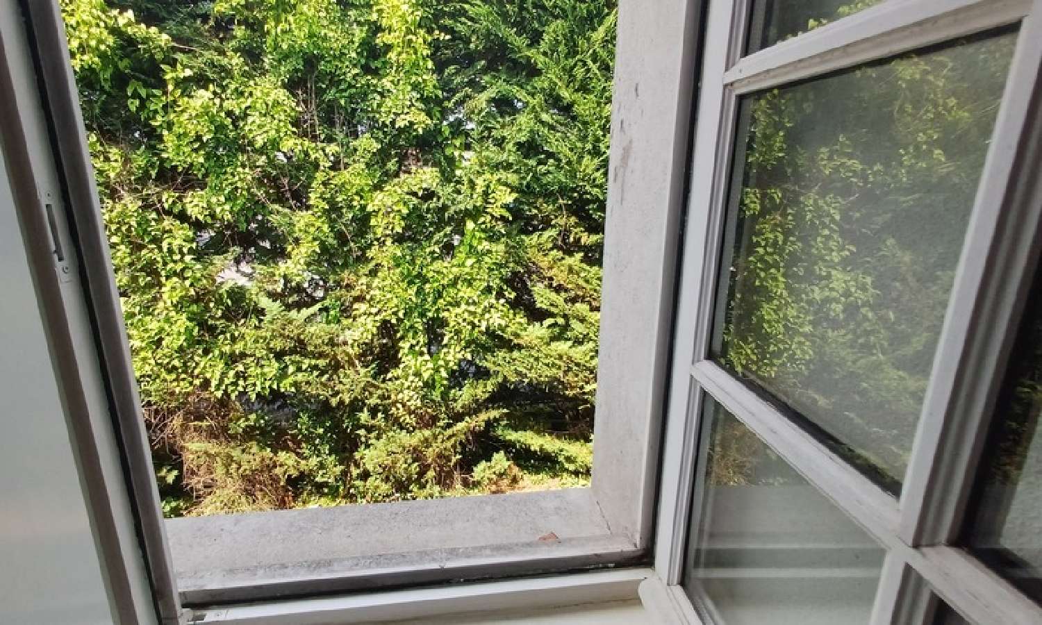 te koop appartement Cognac Charente 4