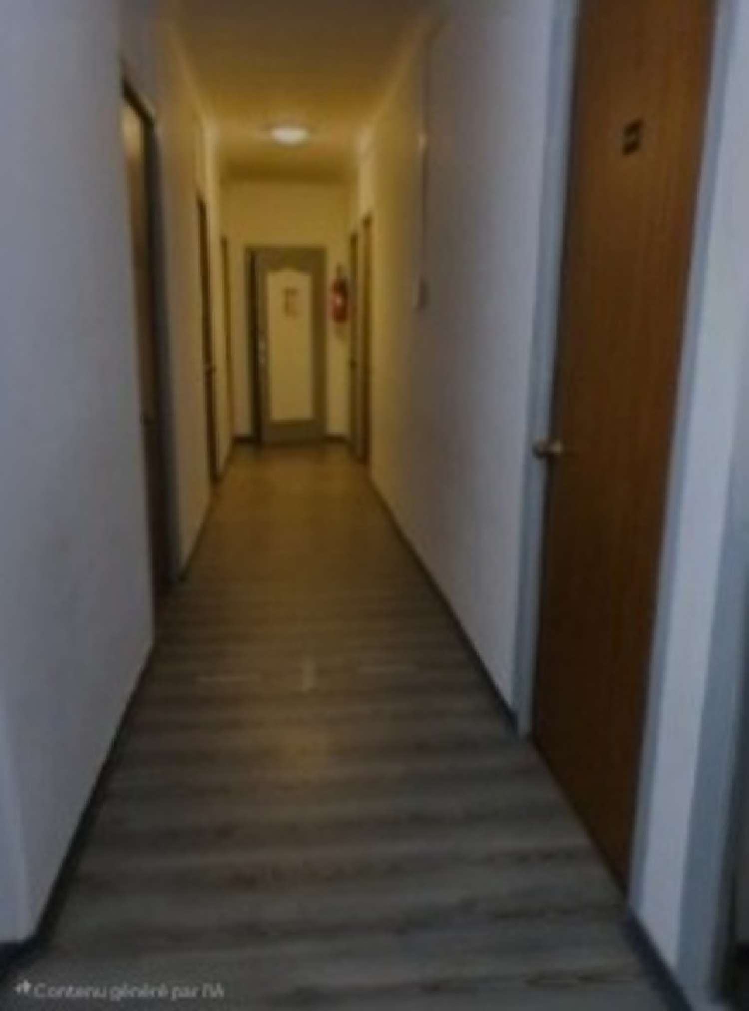 for sale apartment Contrexéville Vosges 1