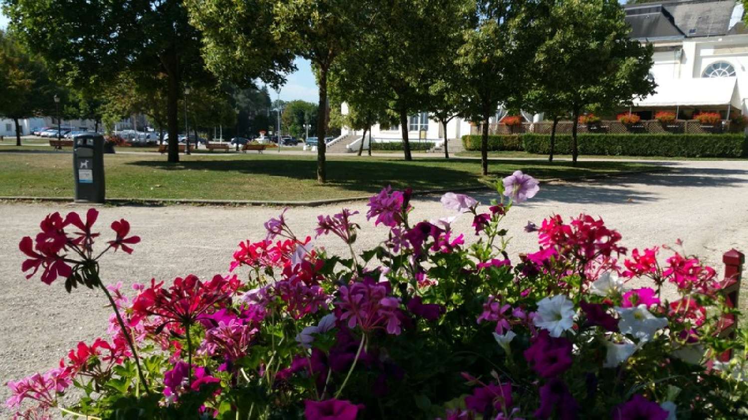 for sale apartment Contrexéville Vosges 1