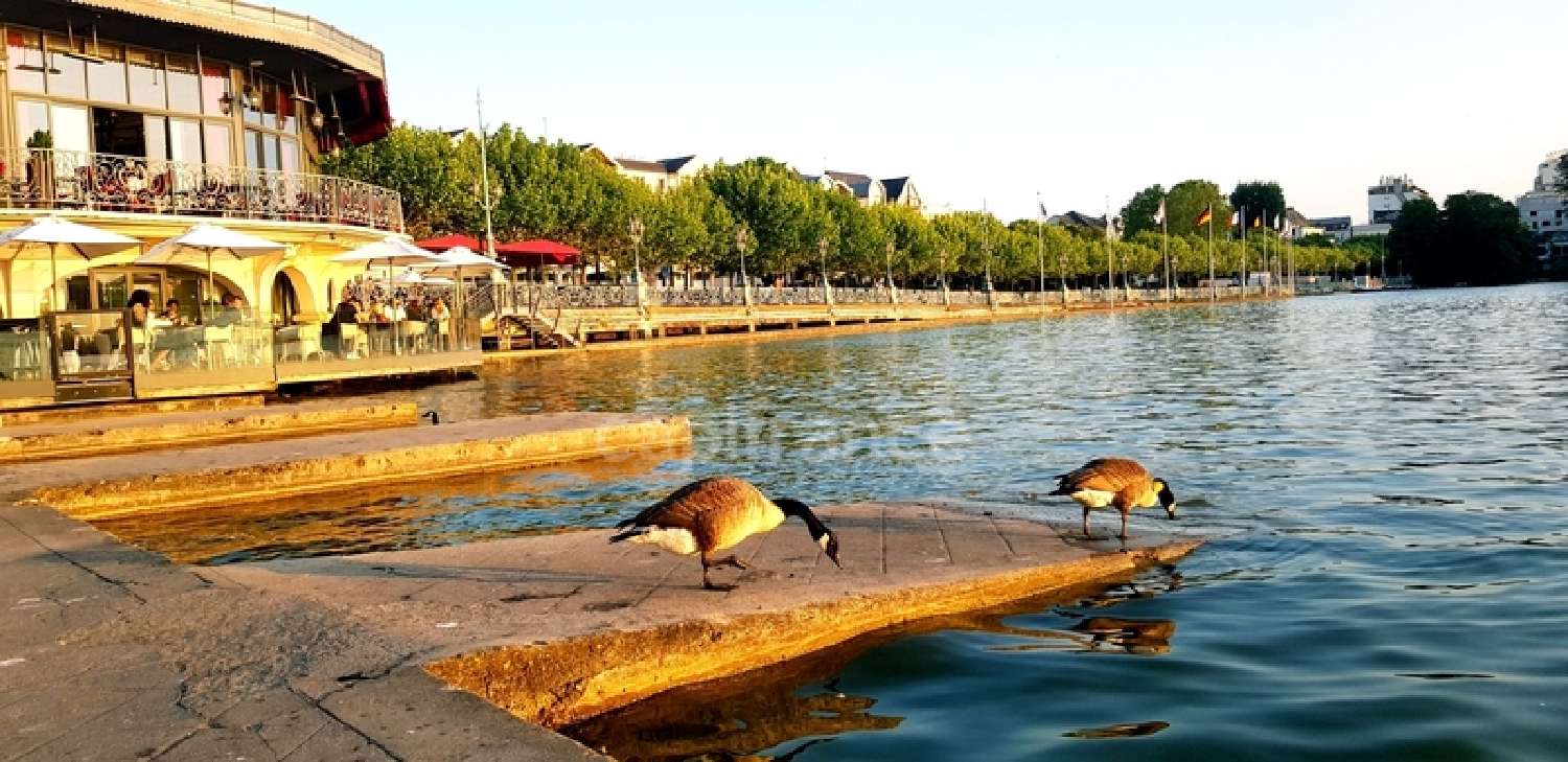  te koop appartement Enghien-les-Bains Val-d'Oise 6