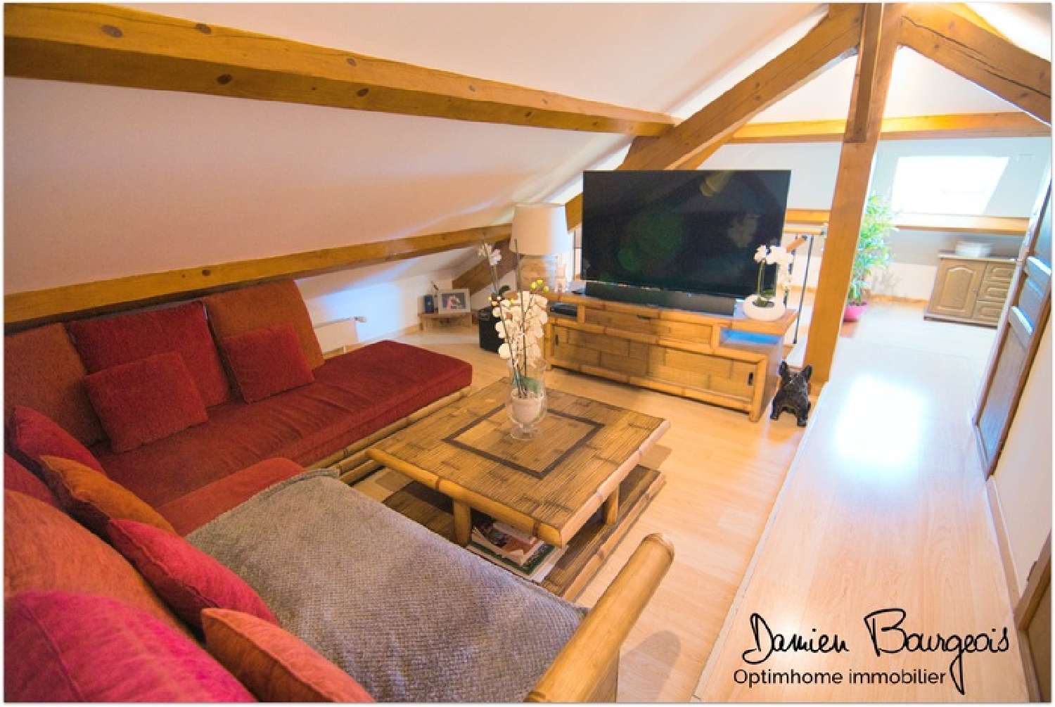  te koop appartement Gex Ain 6