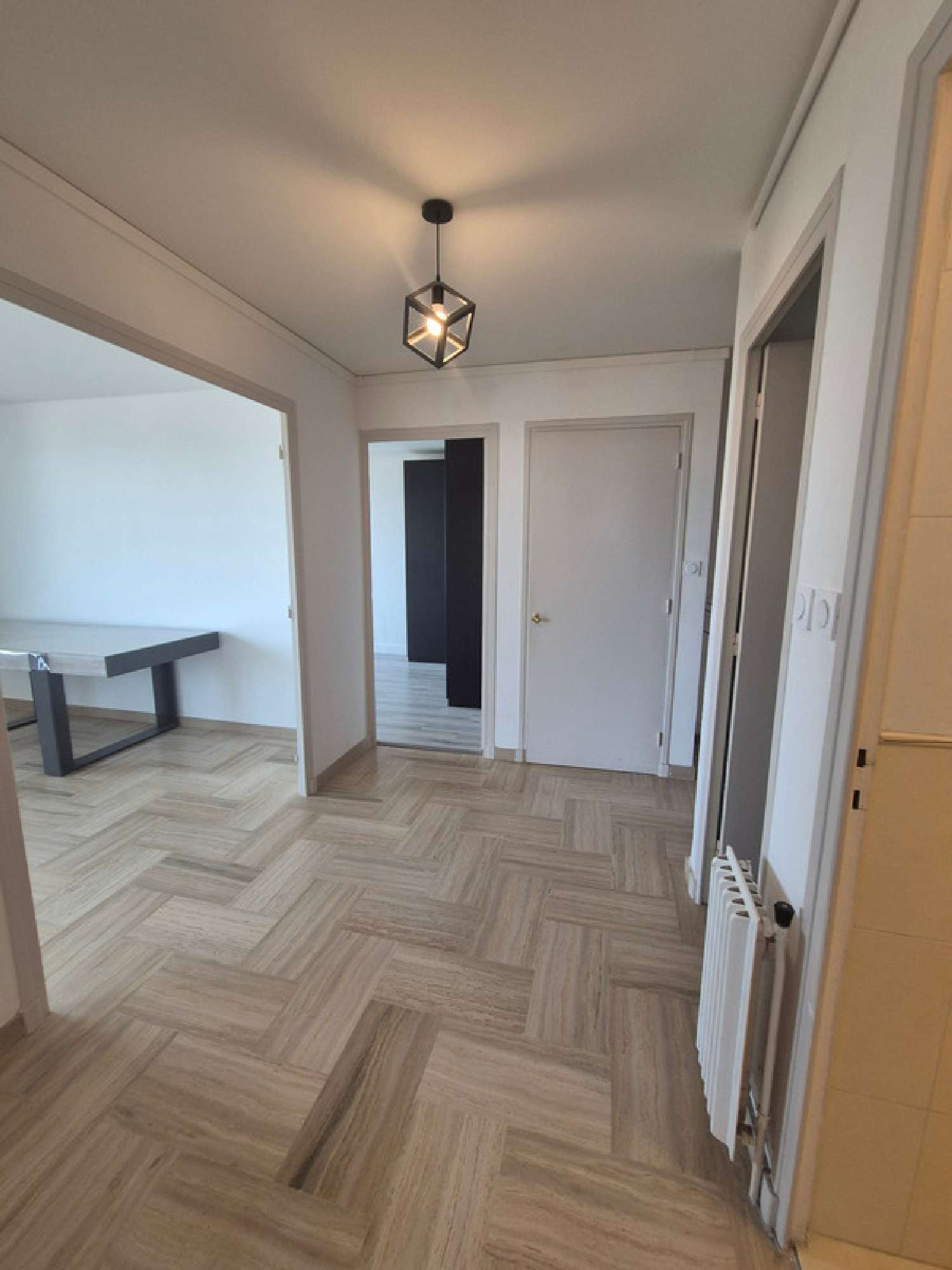  te koop appartement Grenoble 38100 Isère 2