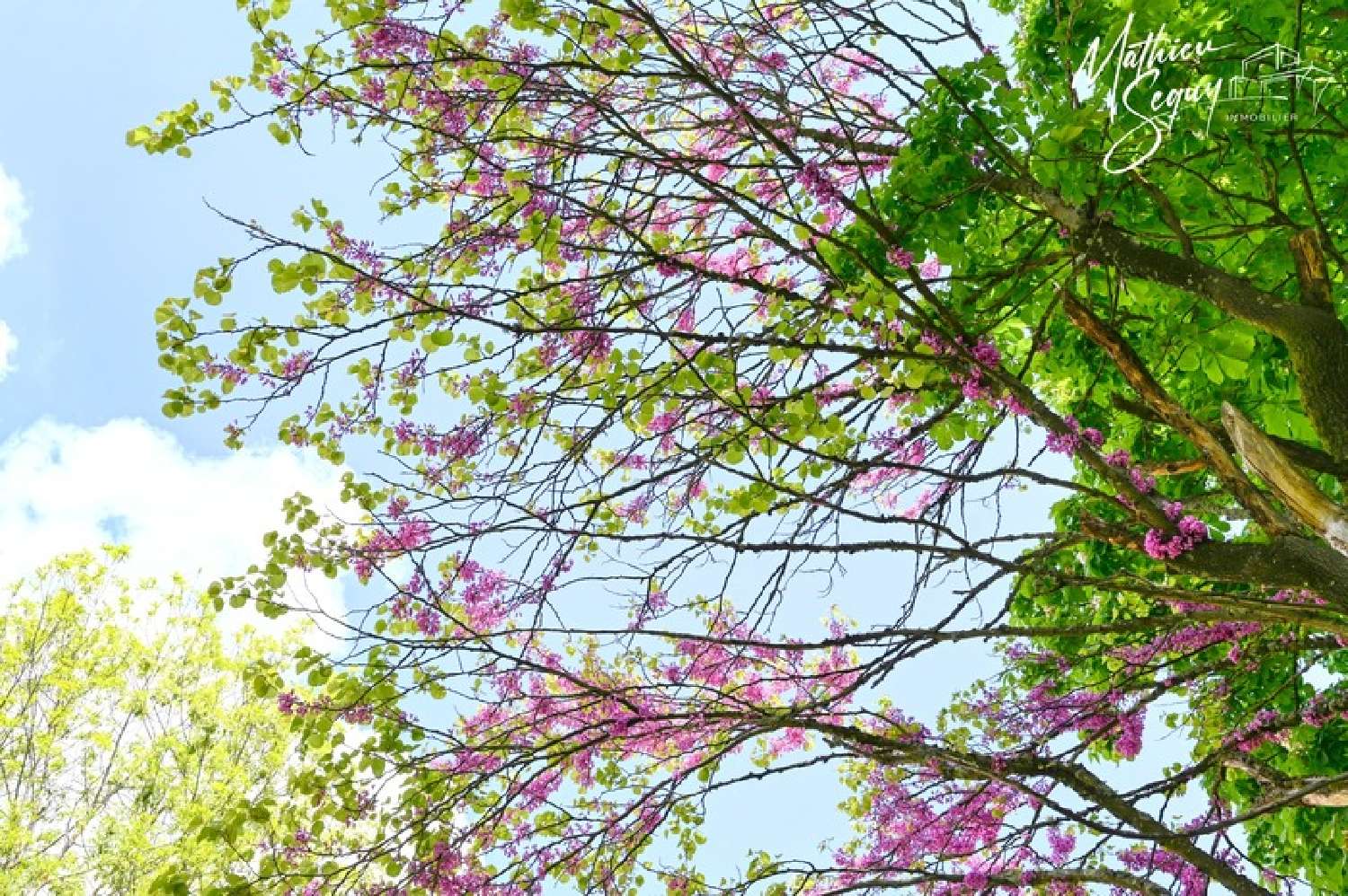  for sale apartment Grézieu-la-Varenne Rhône 6