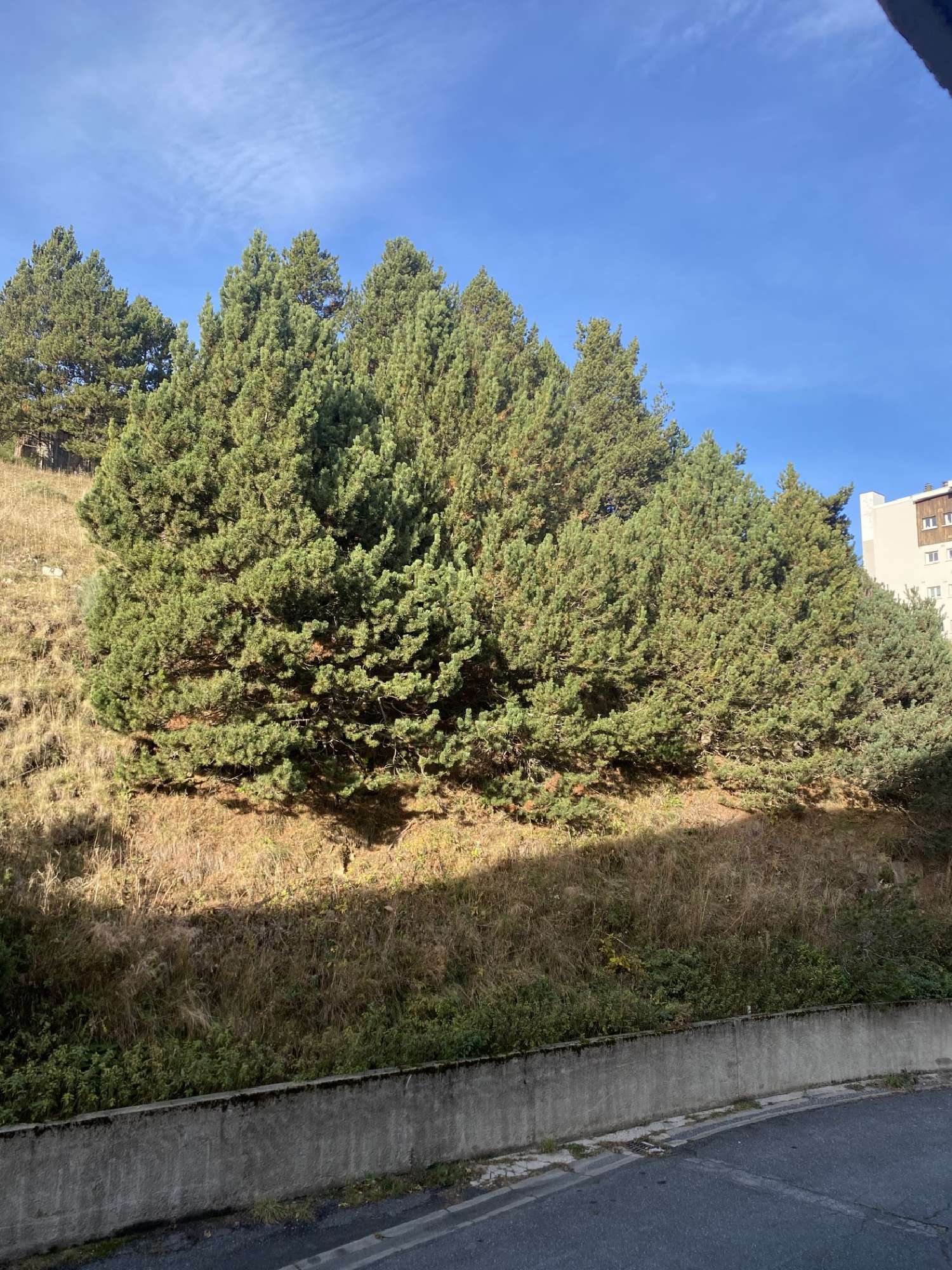 te koop appartement La Cabanasse Pyrénées-Orientales 3