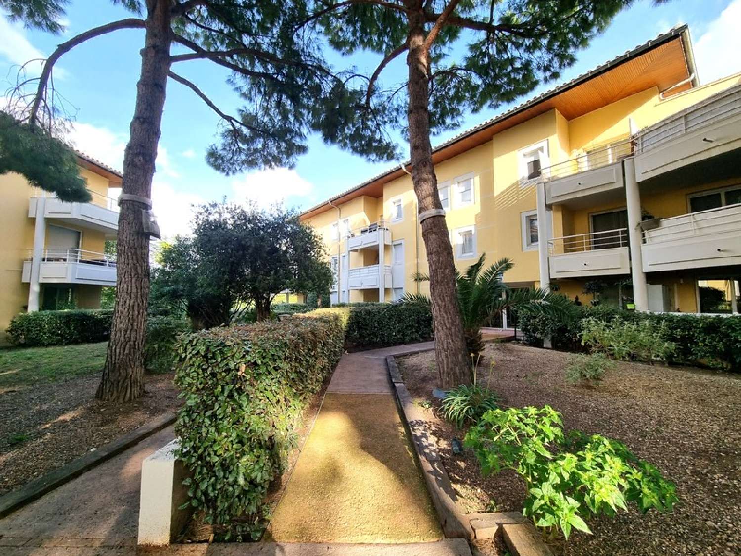  te koop appartement Lattes Hérault 1