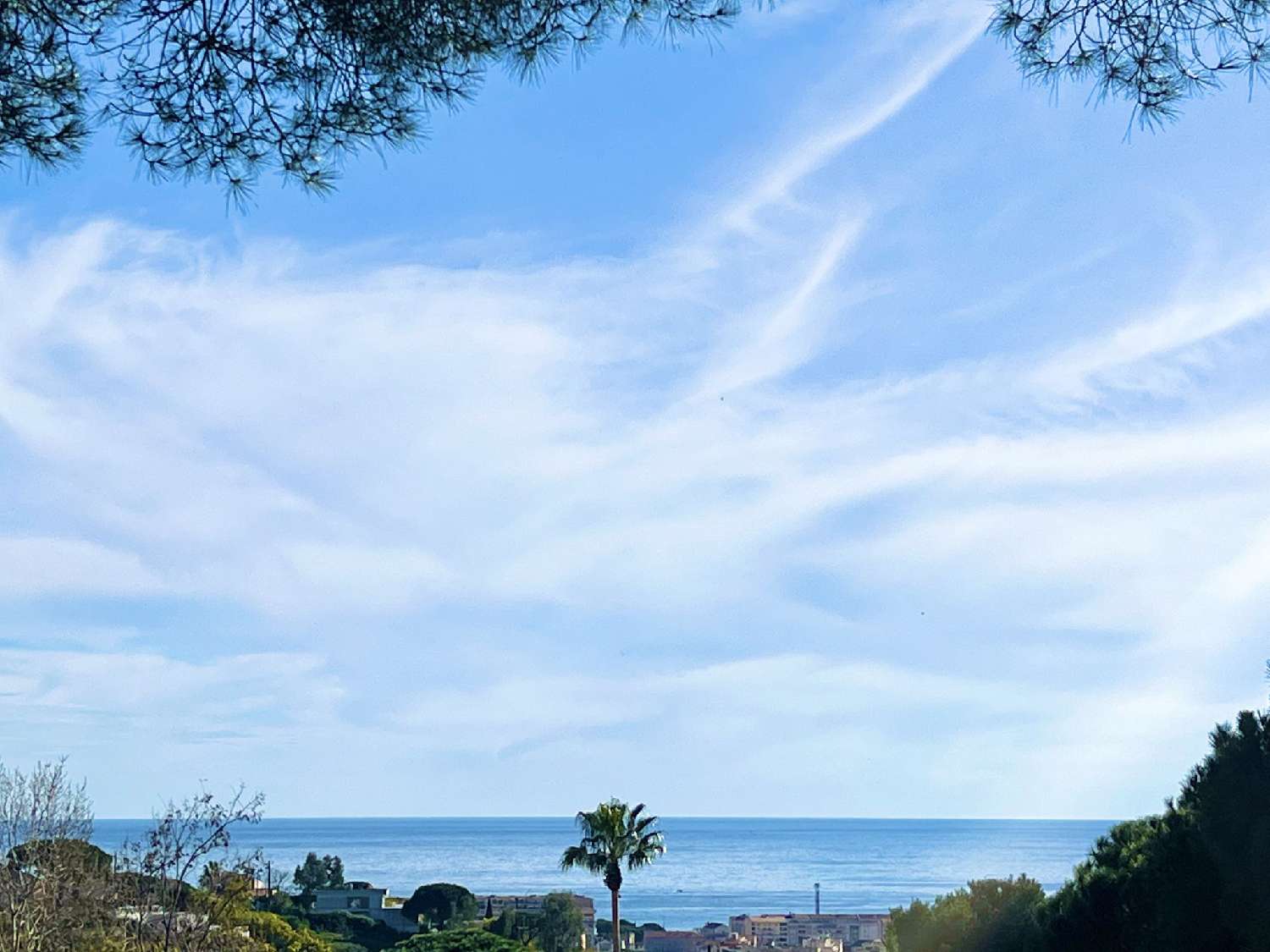  for sale apartment Le Cannet Alpes-Maritimes 1