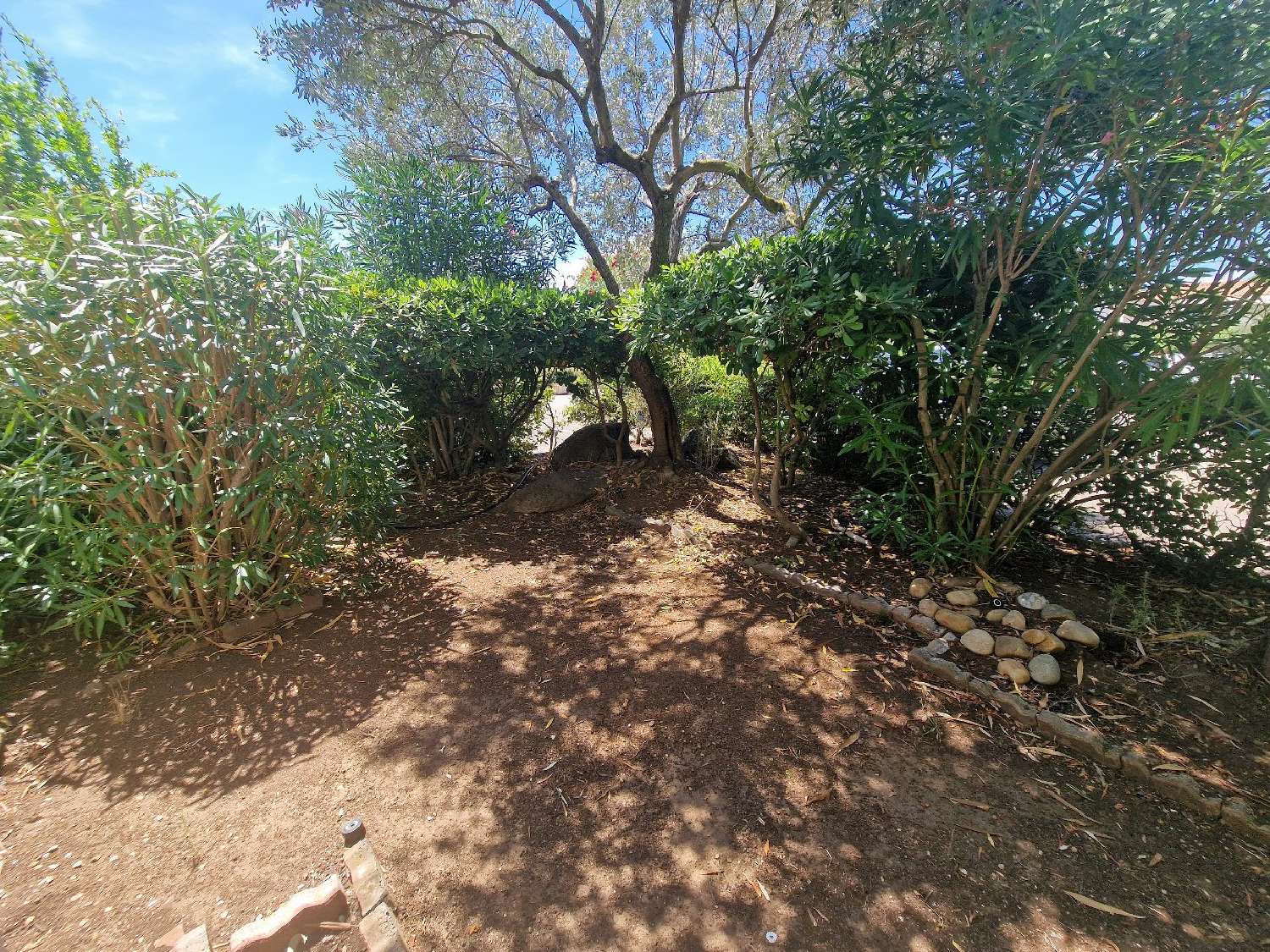 te koop appartement Le Cap d'Agde Hérault 8