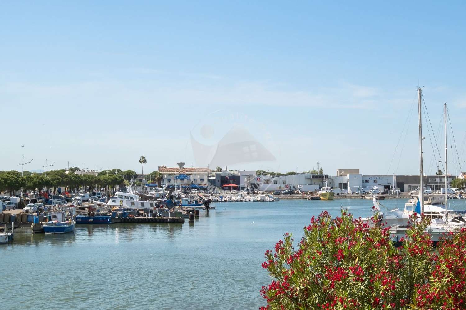 for sale apartment Le Grau-du-Roi Gard 1