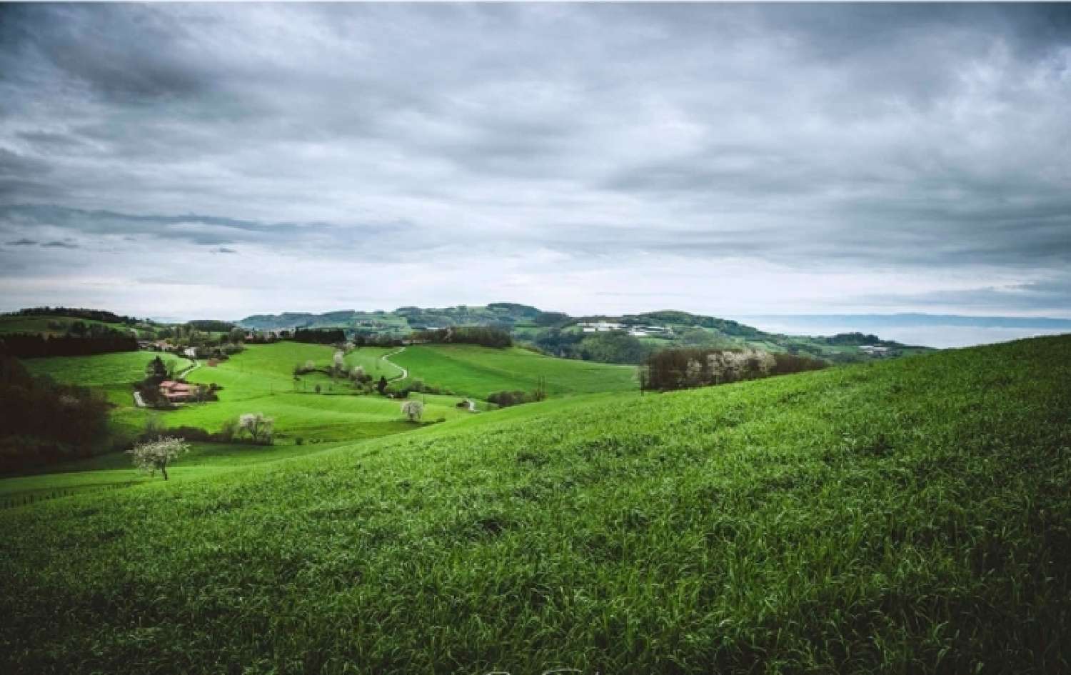  kaufen Wohnung/ Apartment Lentilly Rhône 4