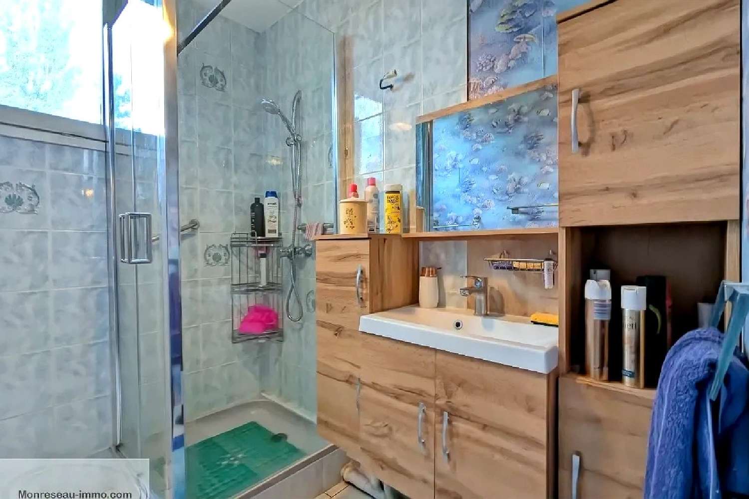  te koop appartement Lux Saône-et-Loire 4