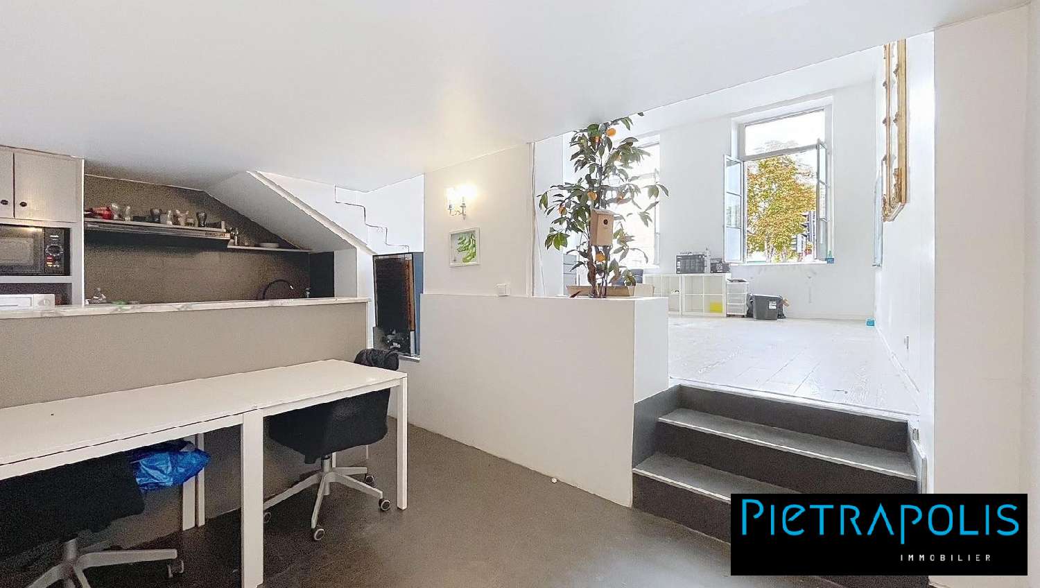 te koop appartement Lyon 2e Arrondissement Rhône 3