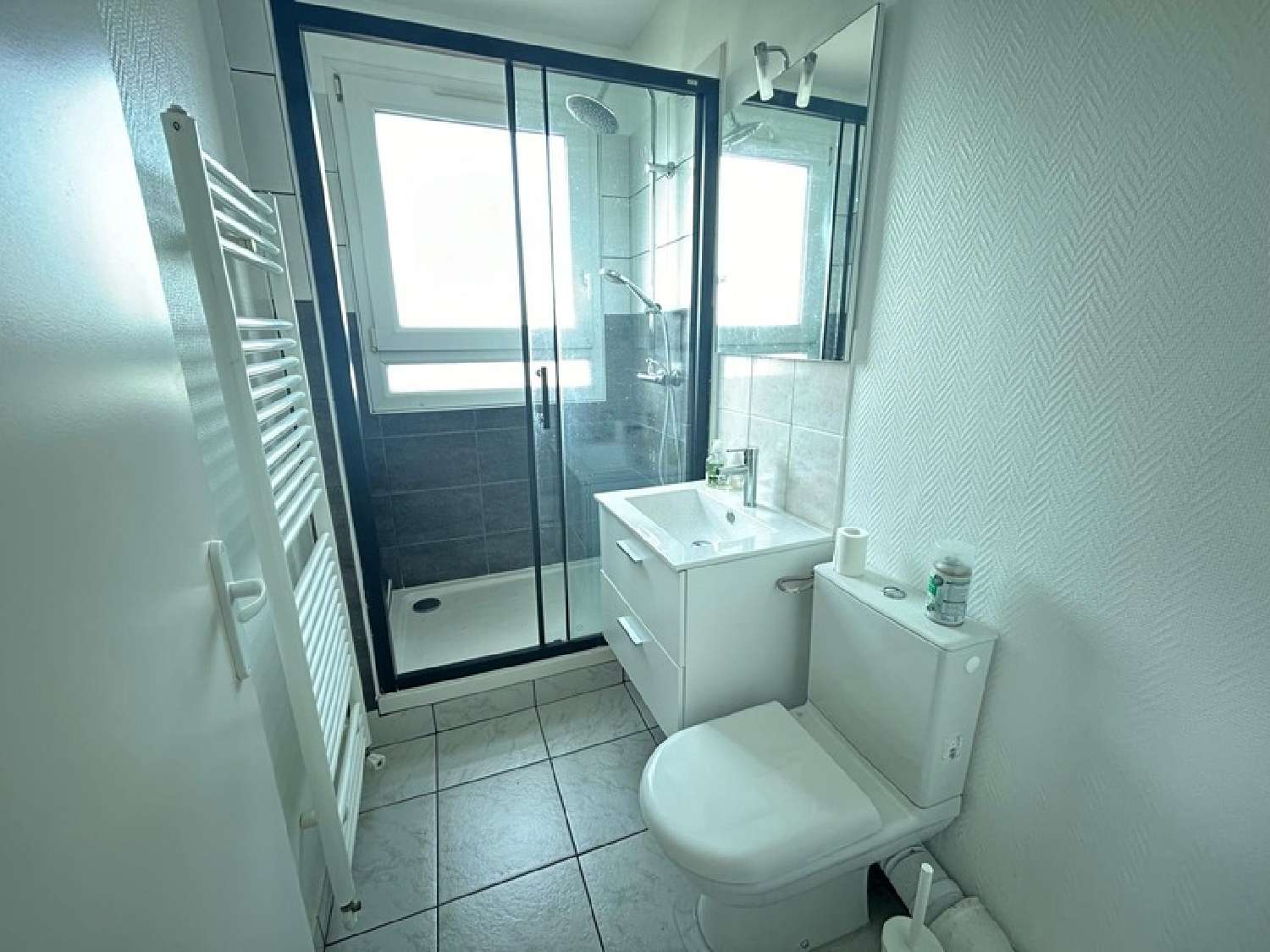  te koop appartement Maisons-Alfort Val-de-Marne 7