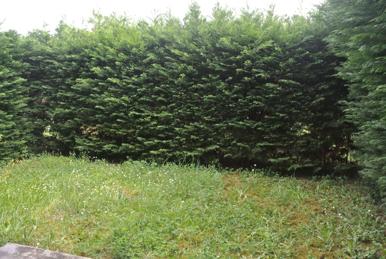  for sale apartment Marmande Lot-et-Garonne 4