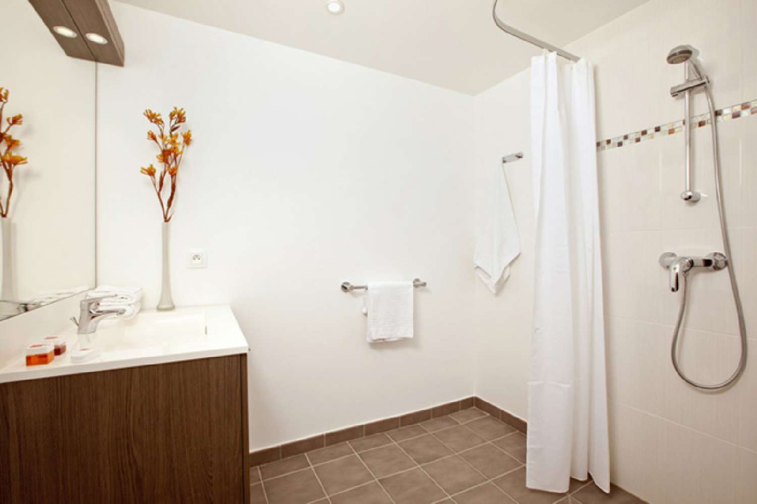 te koop appartement Massy Essonne 3