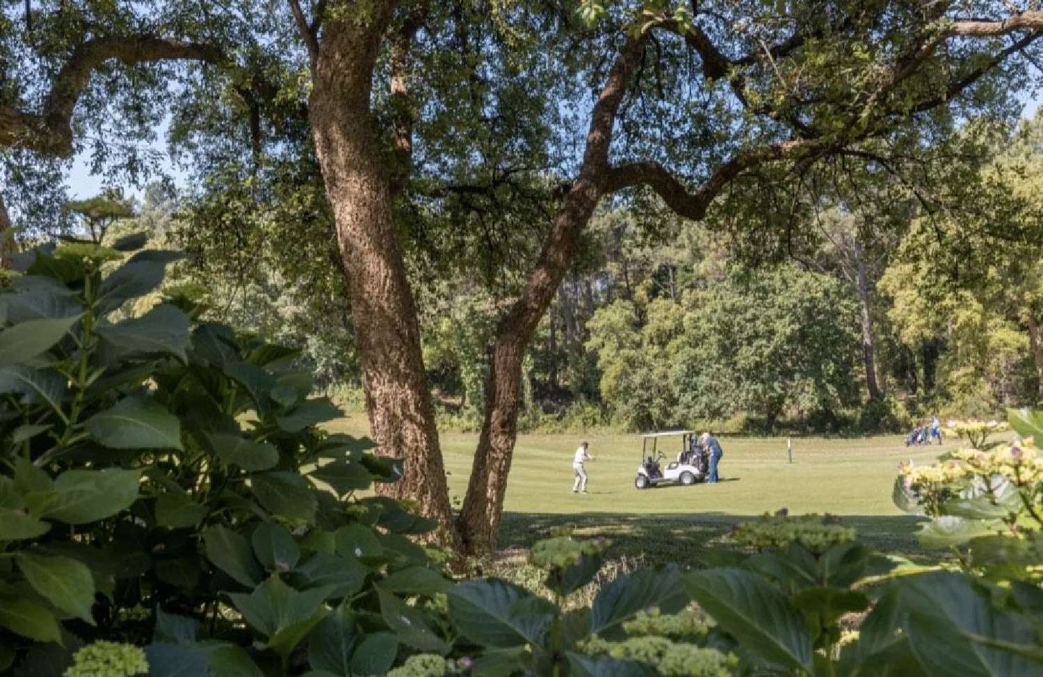  for sale apartment Moliets-et-Maa Landes 1