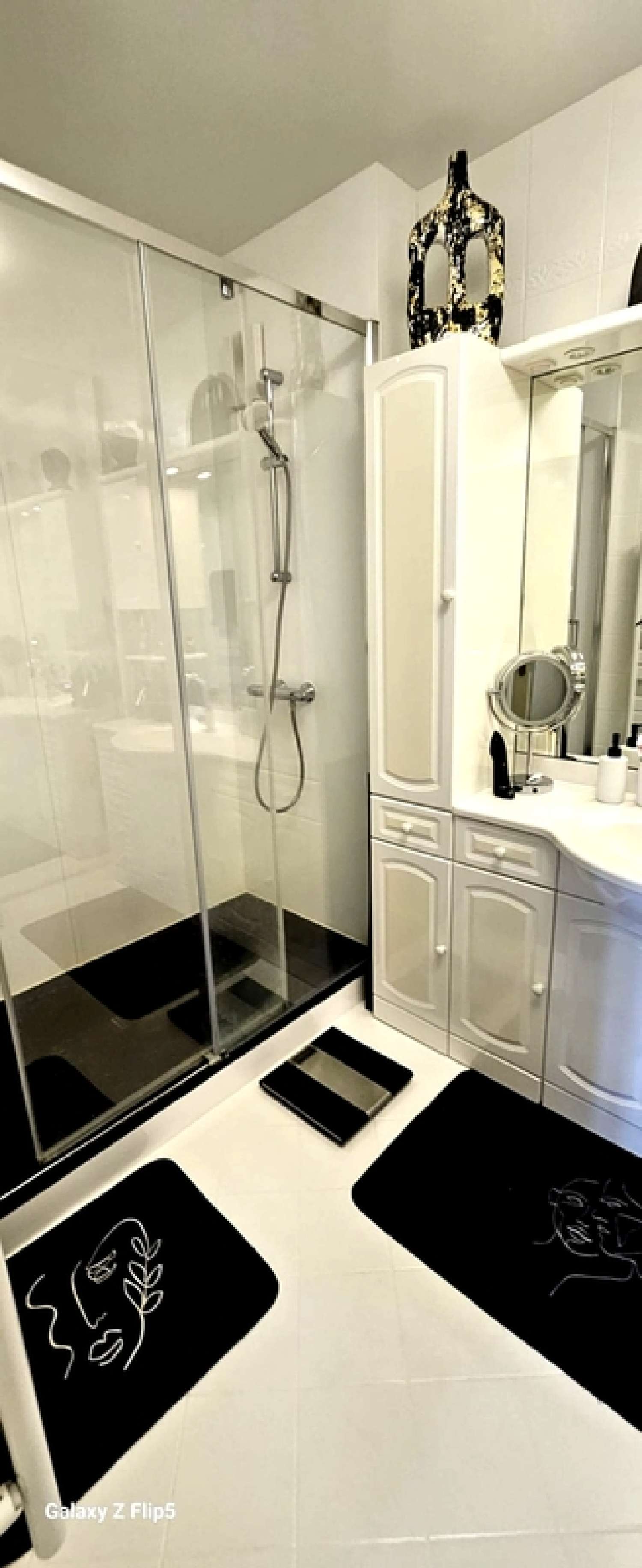  à vendre appartement Montargis Loiret 8