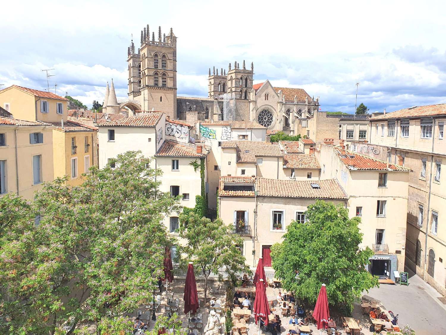 te koop appartement Montpellier Hérault 1