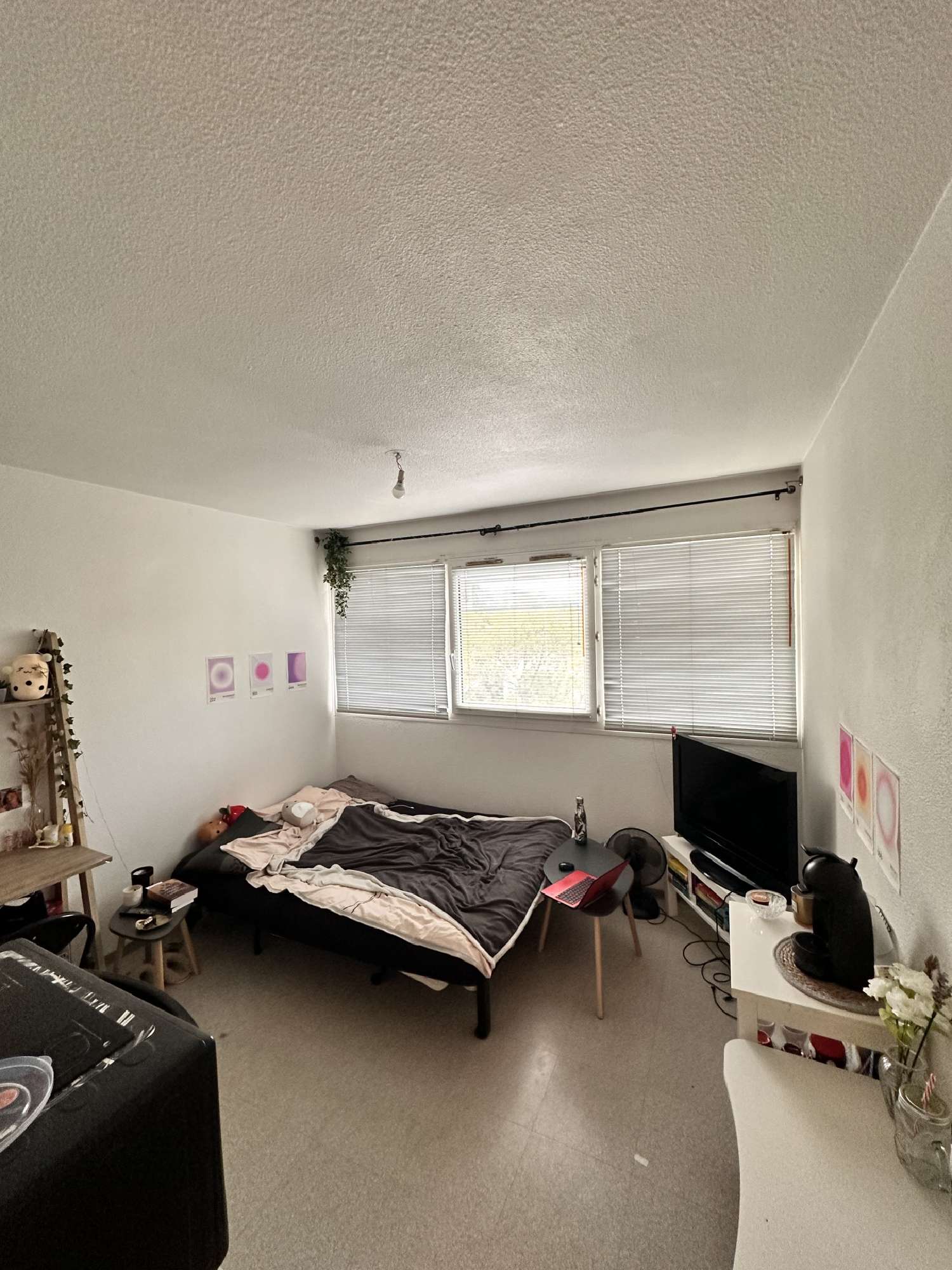 kaufen Wohnung/ Apartment Montpellier 34070 Hérault 4