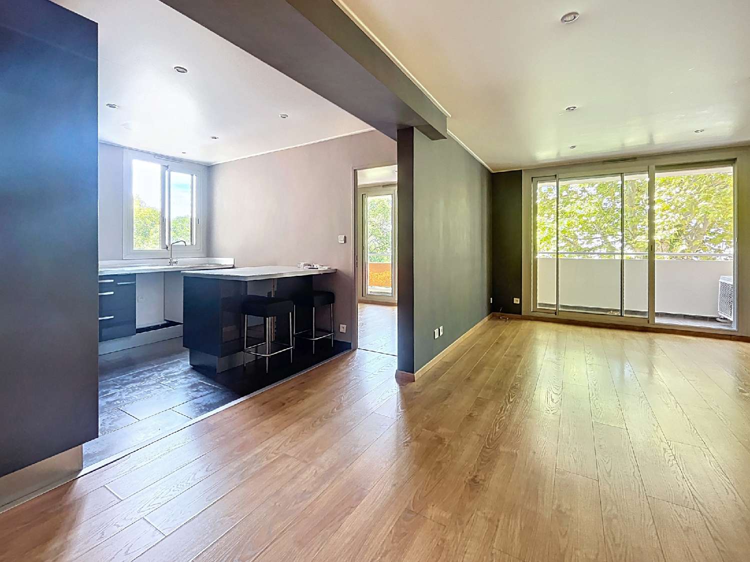  kaufen Wohnung/ Apartment Montpellier Hérault 3