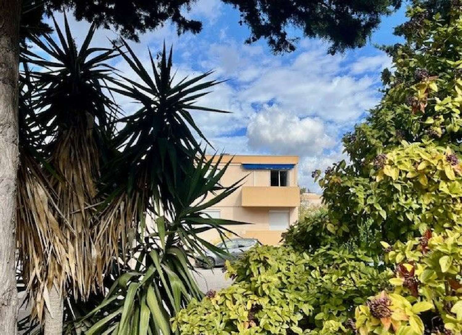 te koop appartement Montpellier 34070 Hérault 1