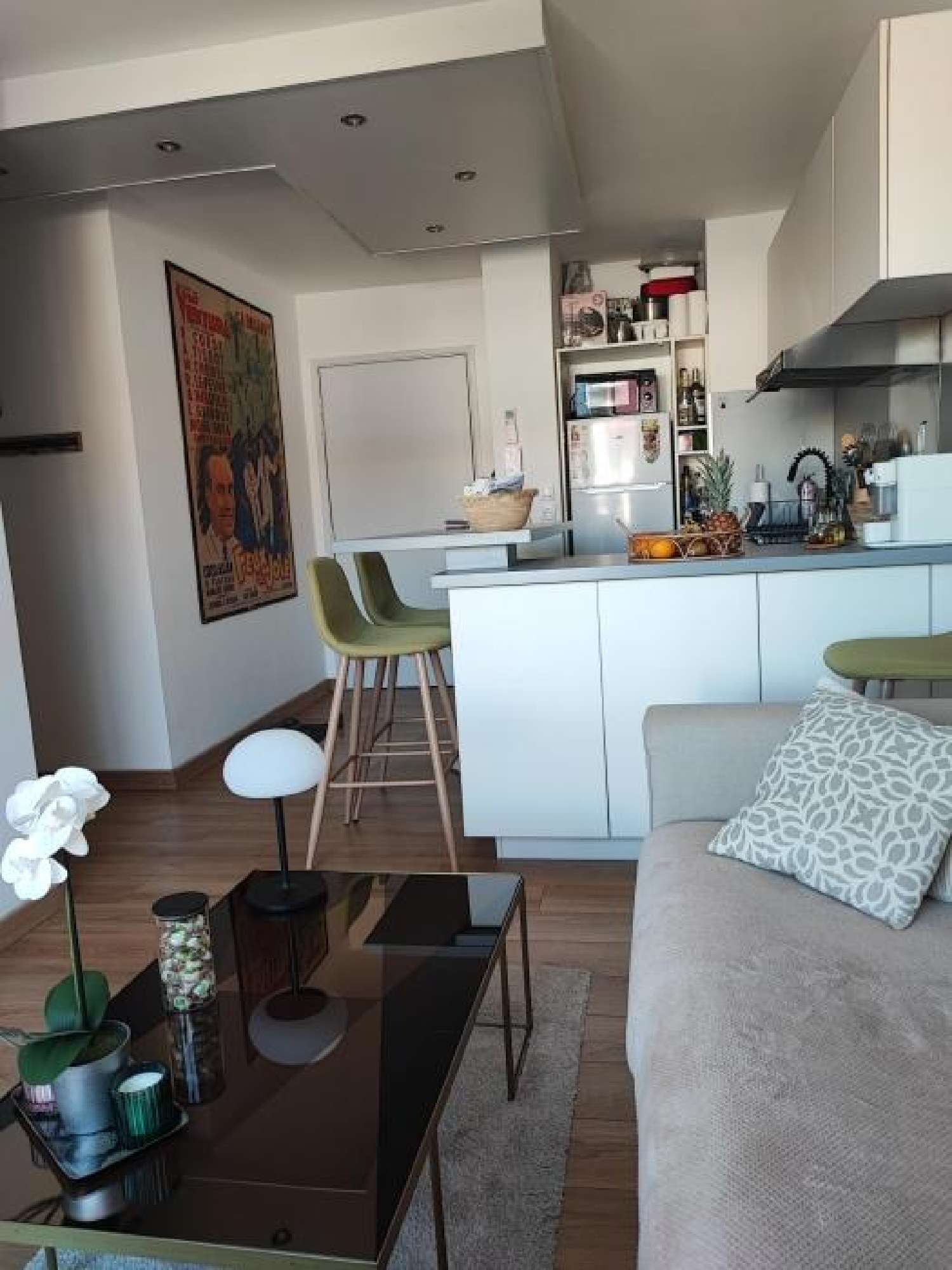 te koop appartement Nîmes Gard 2