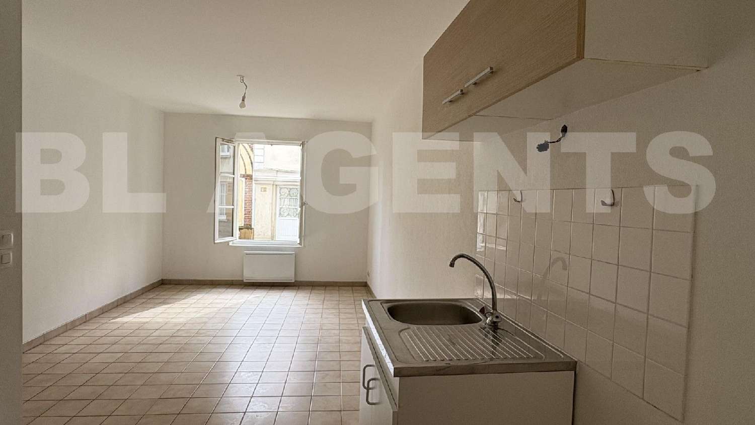  for sale apartment Nogent-le-Roi Eure-et-Loir 1