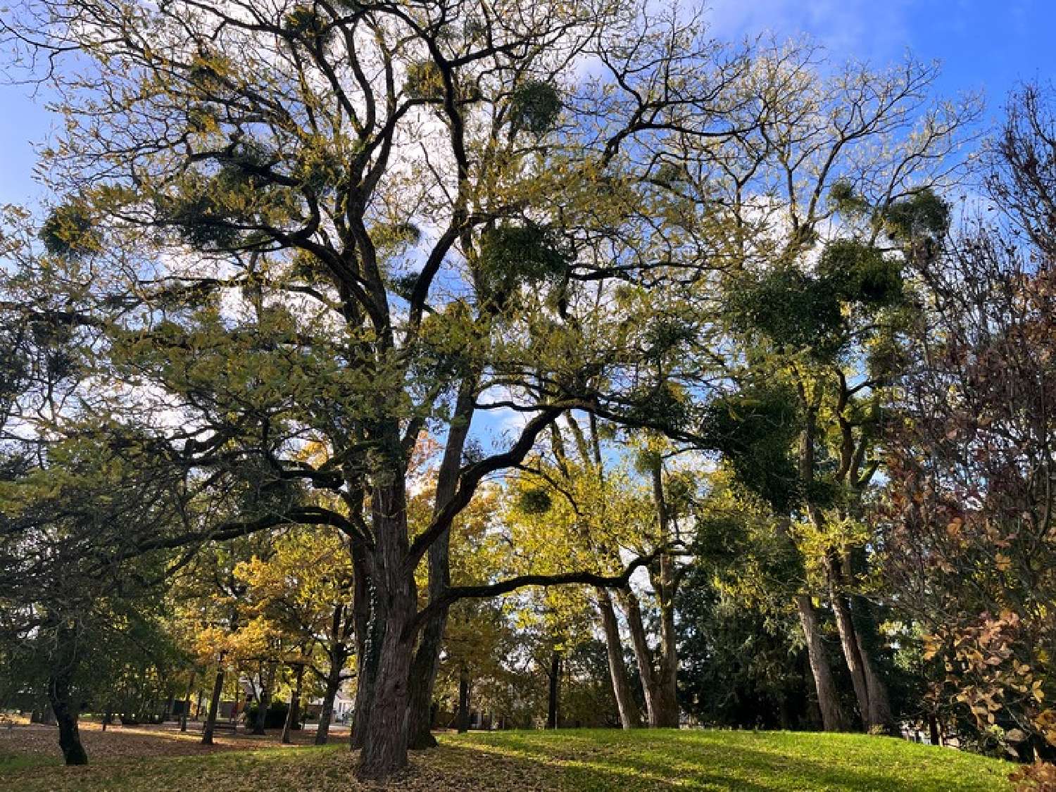  à vendre appartement Orléans 45100 Loiret 7