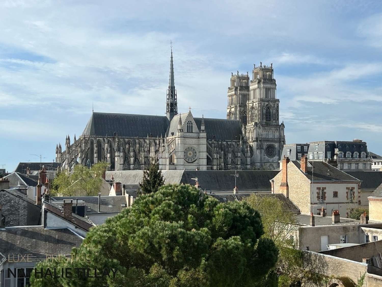 te koop appartement Orléans Loiret 2