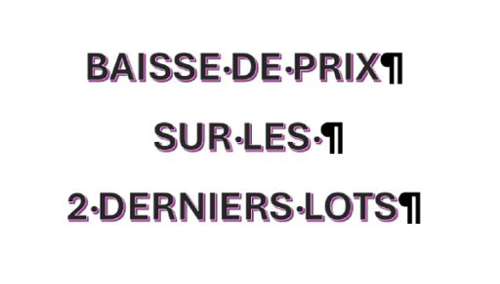 Parentis-en-Born Landes Wohnung/ Apartment Bild 7202445