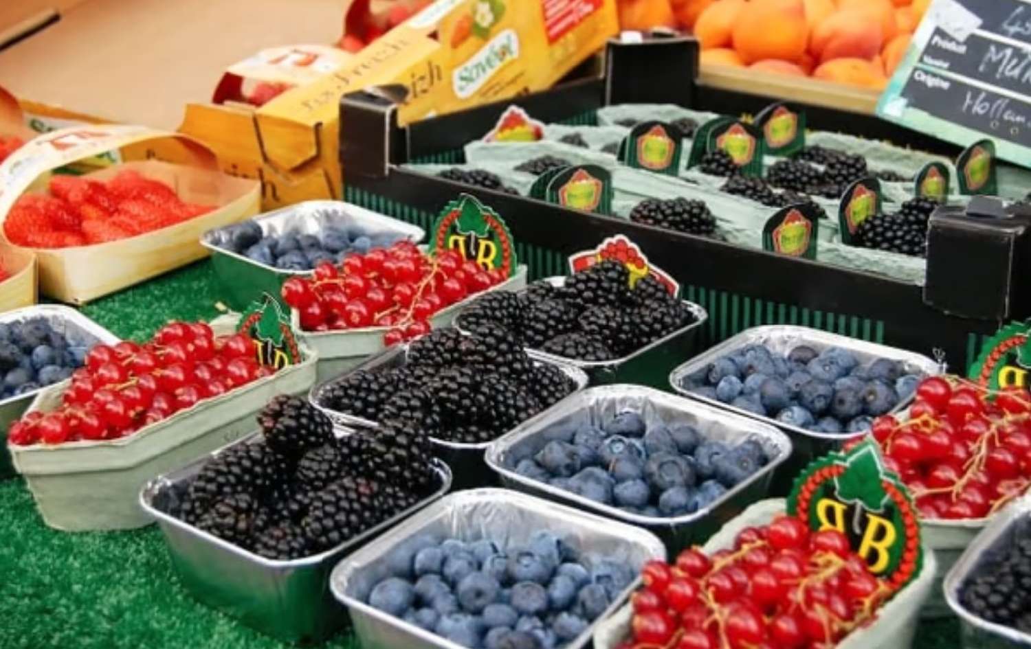  te koop appartement Paris 7e Arrondissement Parijs (Seine) 3