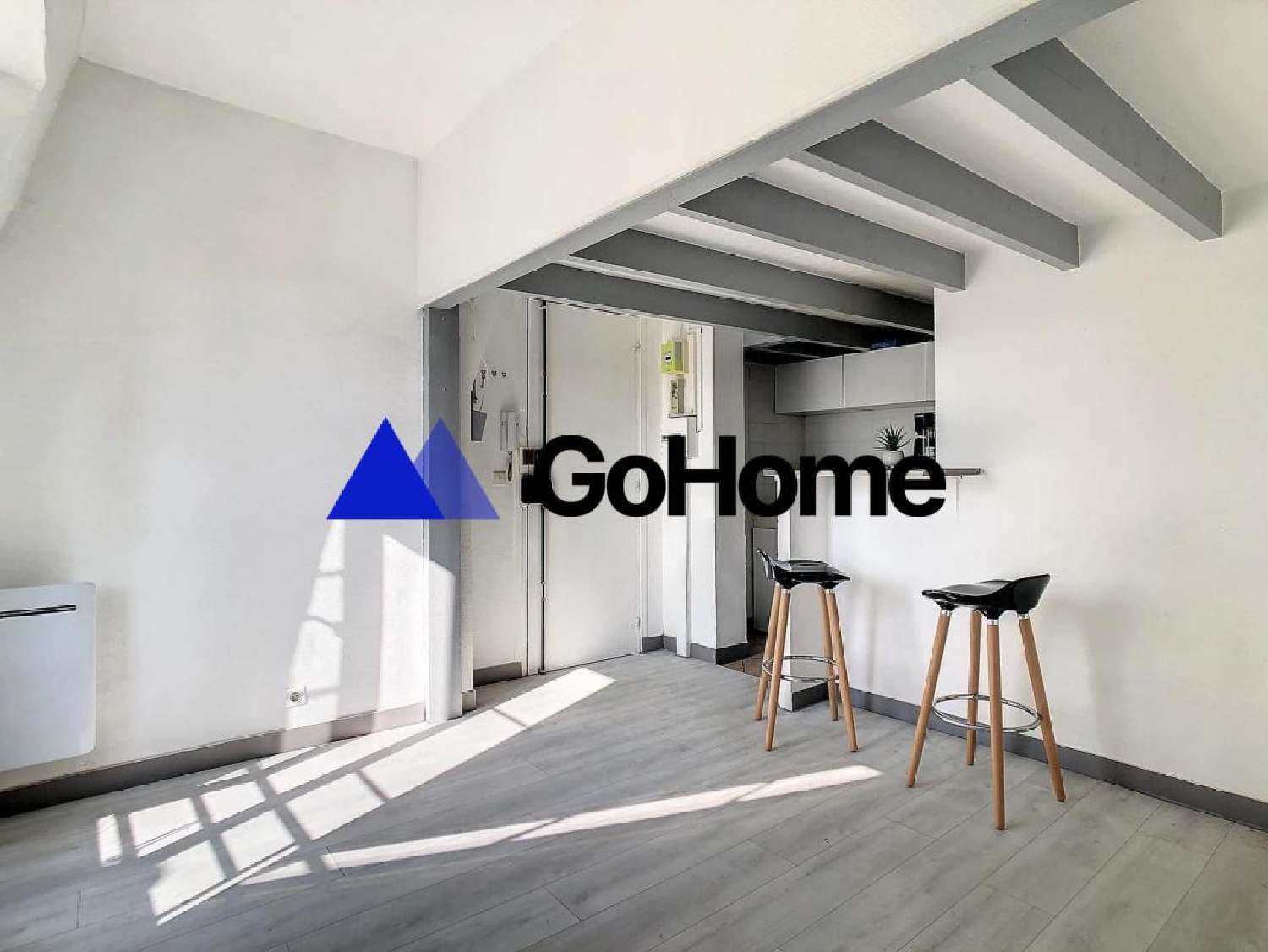 te koop appartement Parijs Parijs (Seine) 1