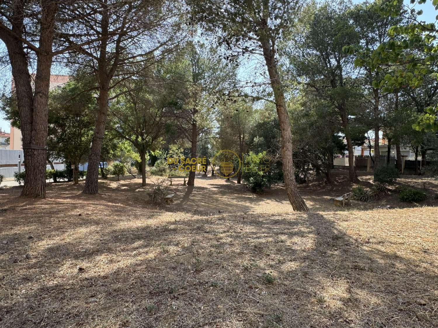  kaufen Wohnung/ Apartment Perpignan Pyrénées-Orientales 8