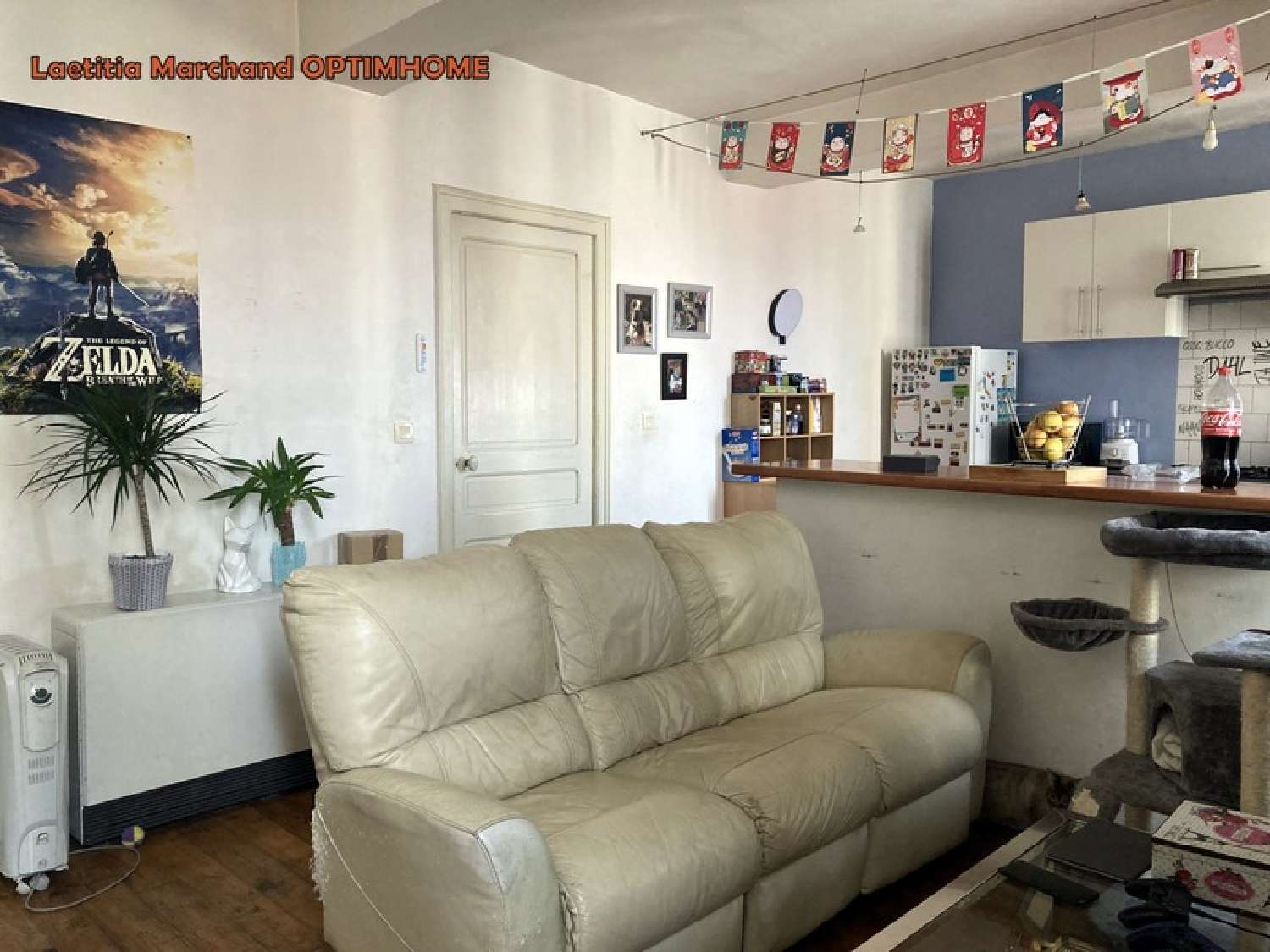  à vendre appartement Prades Pyrénées-Orientales 3