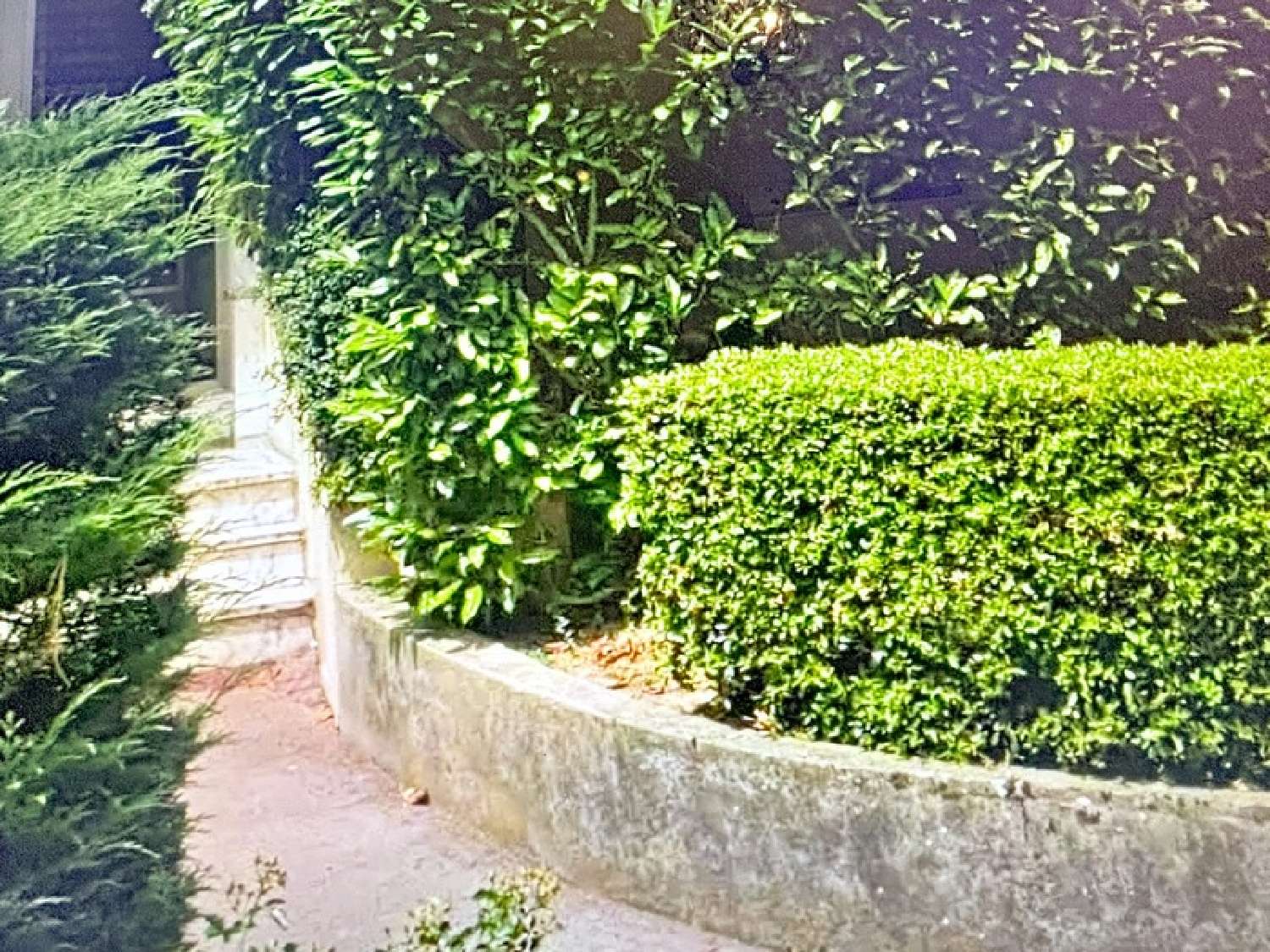 te koop appartement Reims Marne 2