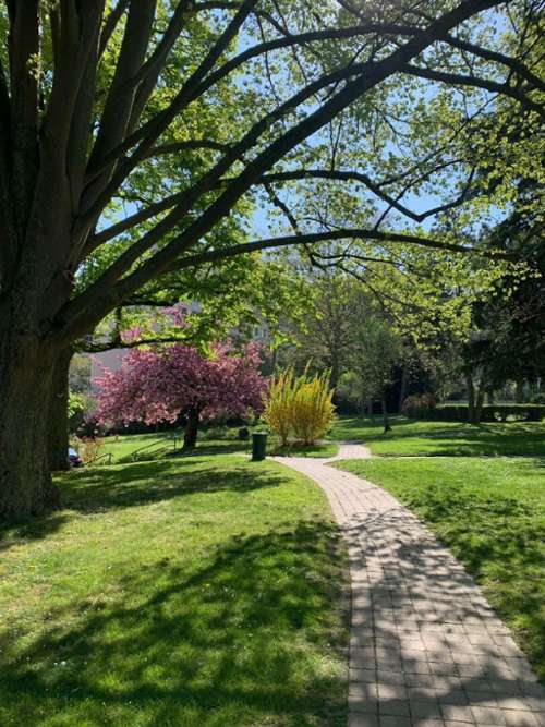 Saint-Cloud Hauts-de-Seine apartamento foto 7188129