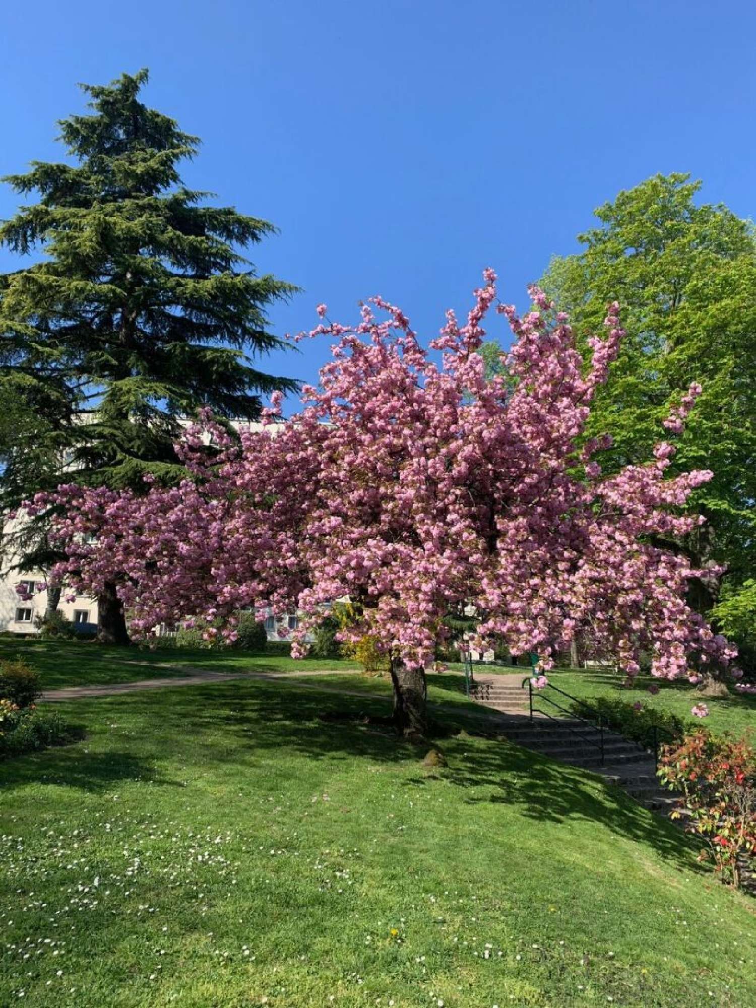 te koop appartement Saint-Cloud Hauts-de-Seine 1