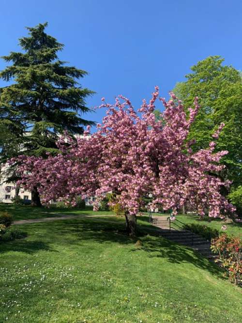 Saint-Cloud Hauts-de-Seine apartamento foto 7188130