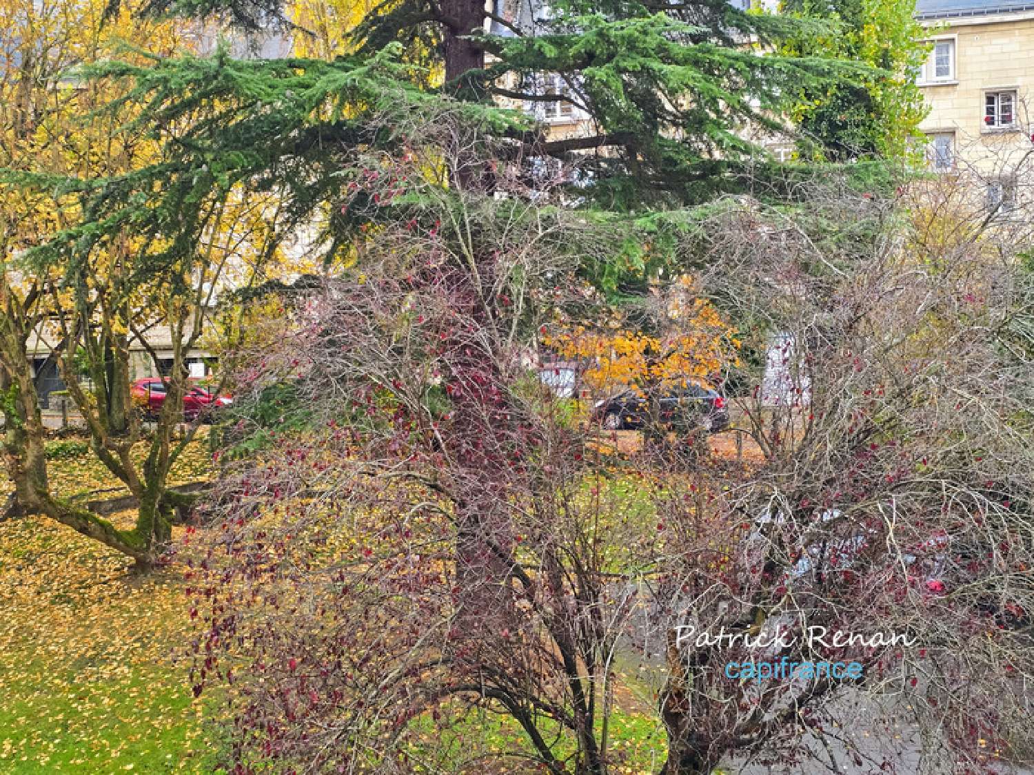 kaufen Wohnung/ Apartment Saint-Cyr-l'École Yvelines 6