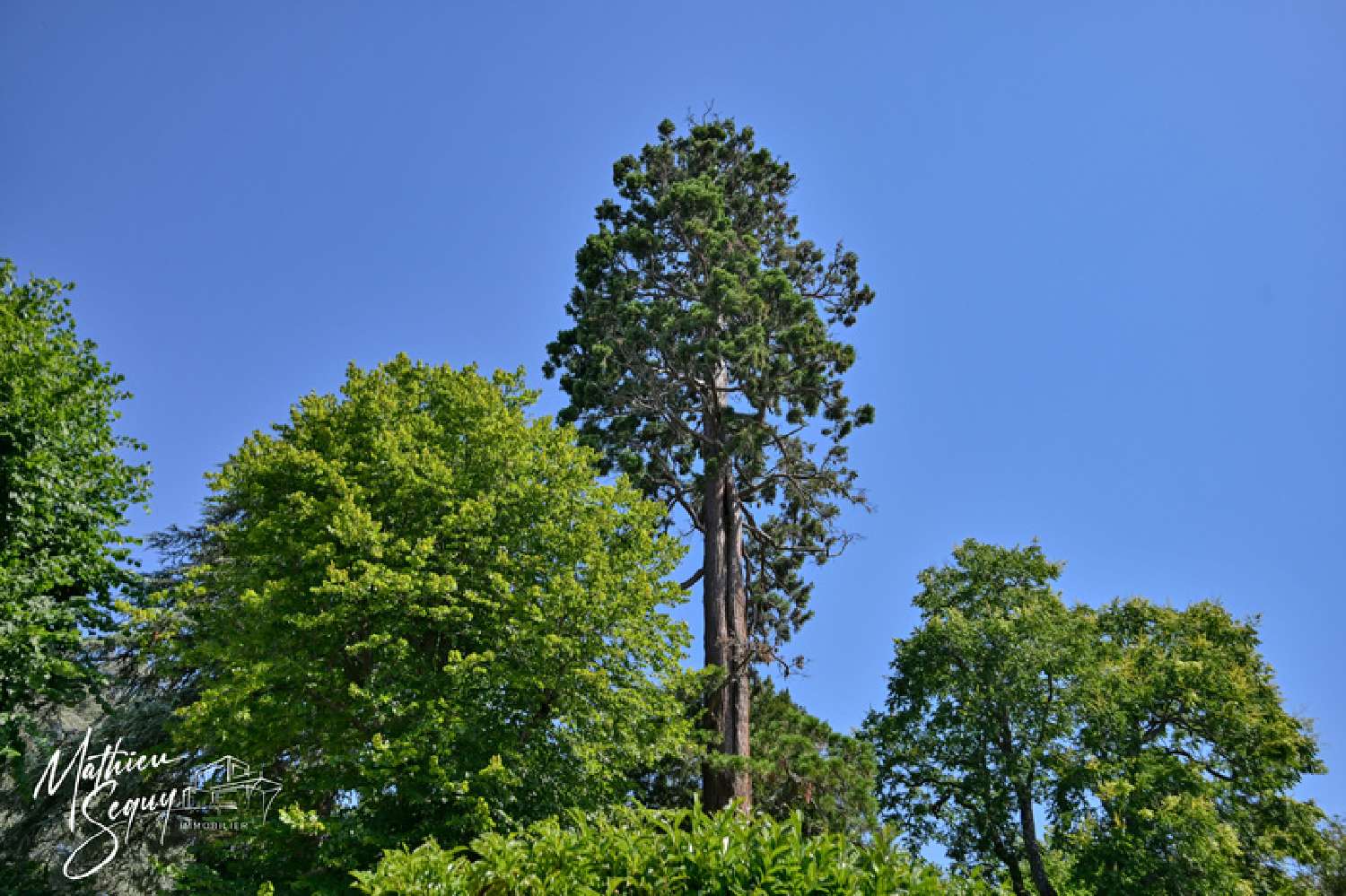kaufen Wohnung/ Apartment Saint-Genis-Laval Rhône 2